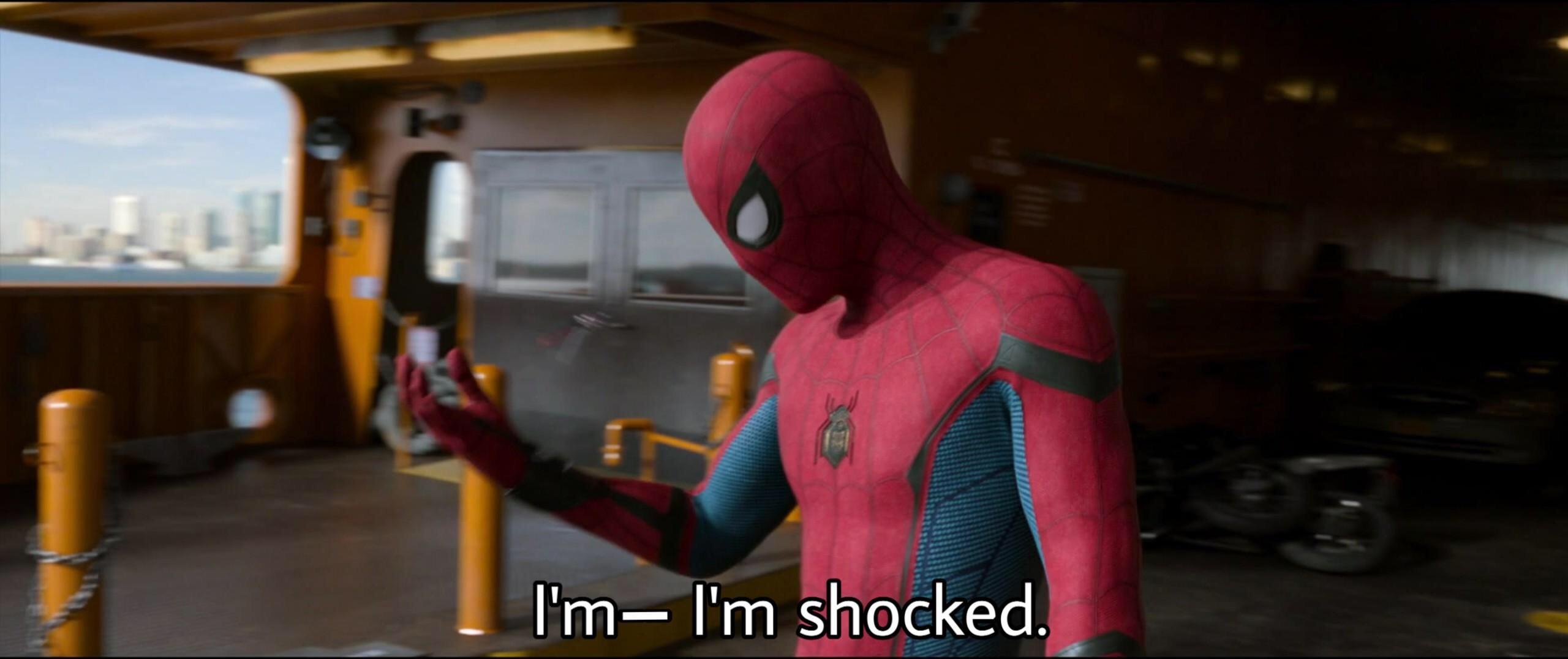When you see yet another Raimi memes post trashing MCU SpiderMan with