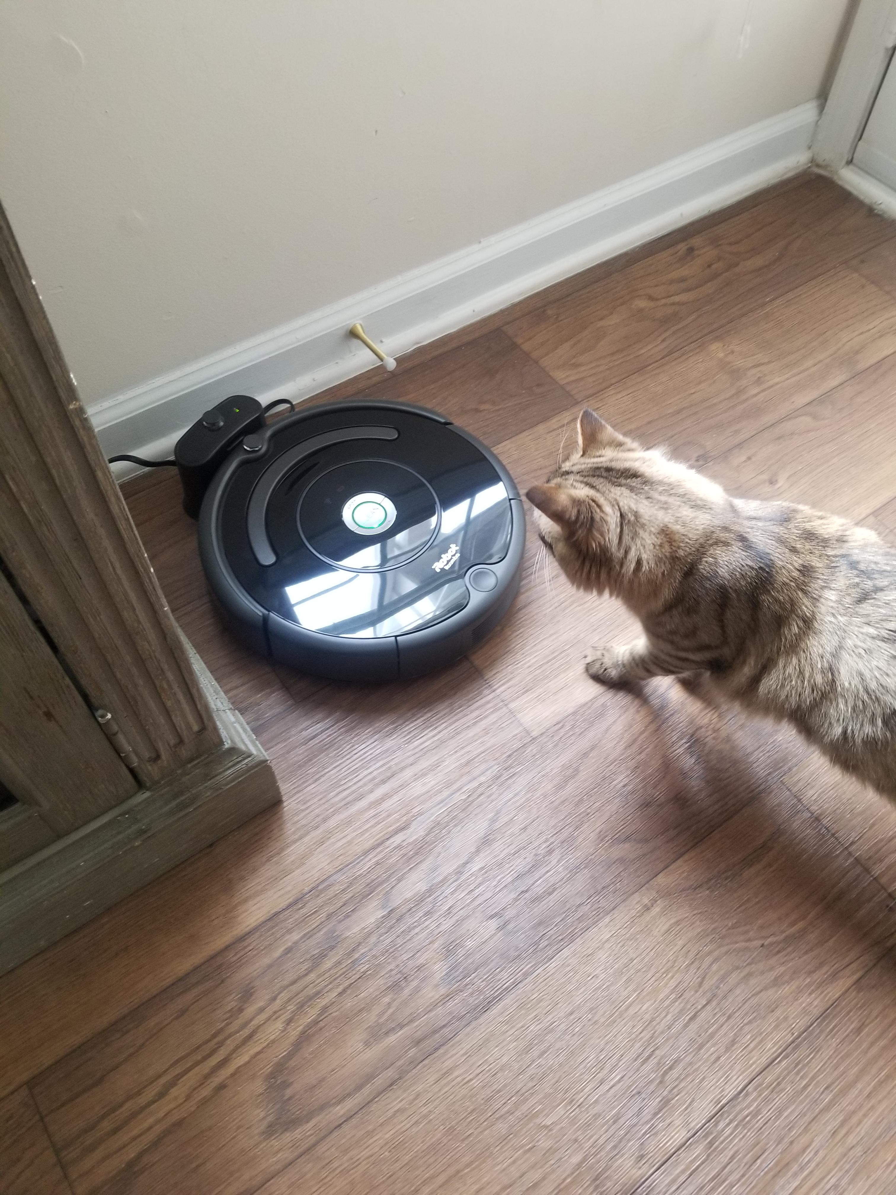 How do I find the MAC address on the Roomba 675??? roomba