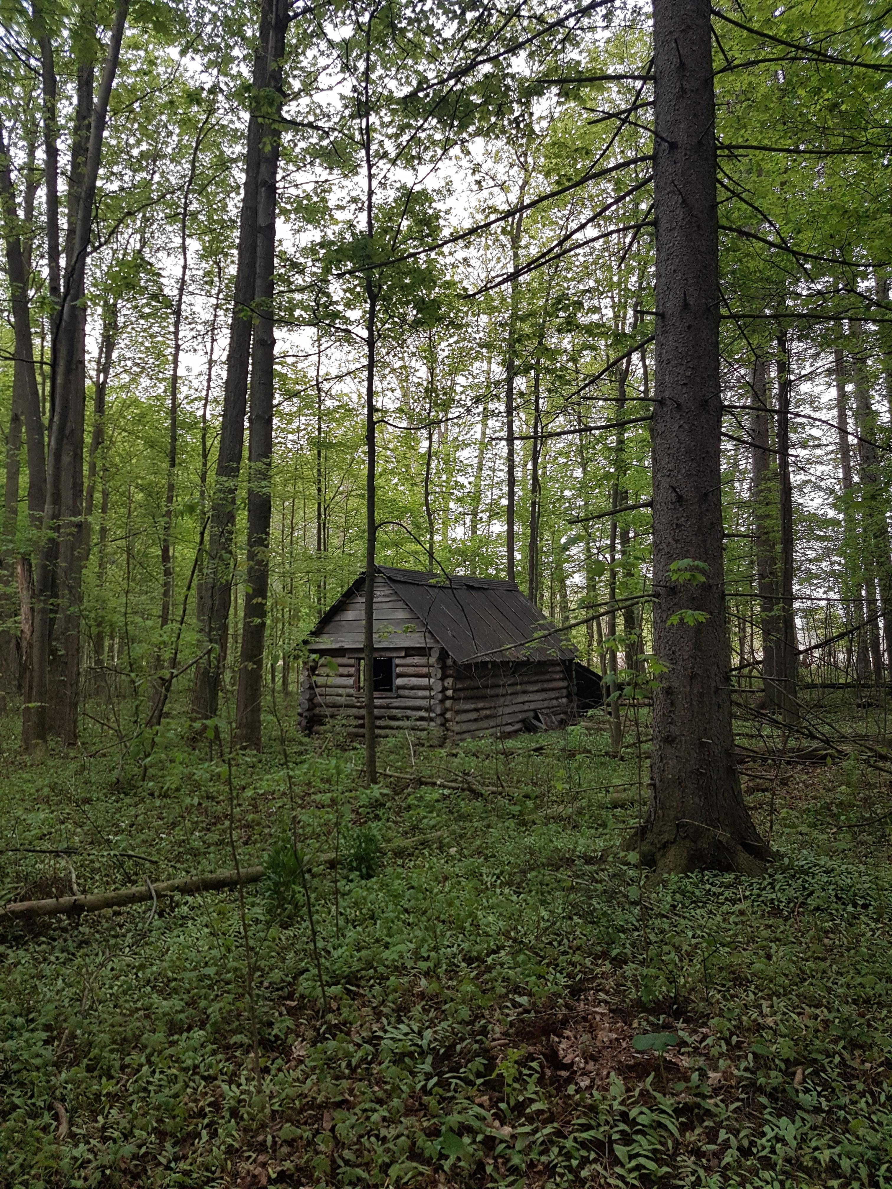[OC] Part of an old maple syrup operation in southern Ontario r/CabinPorn