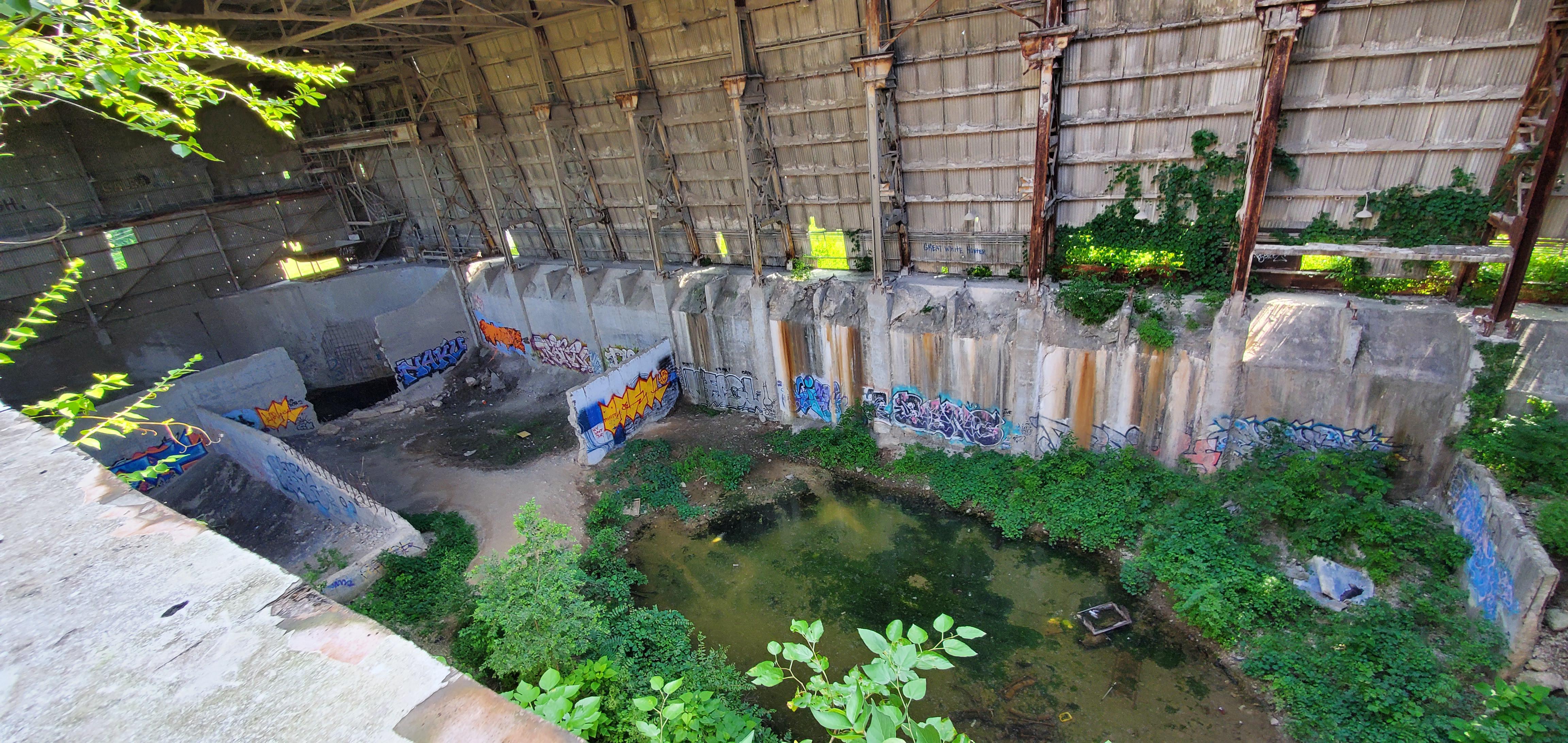 Another photo from cementland in st.louis. this one displays the length of the overgrown, and