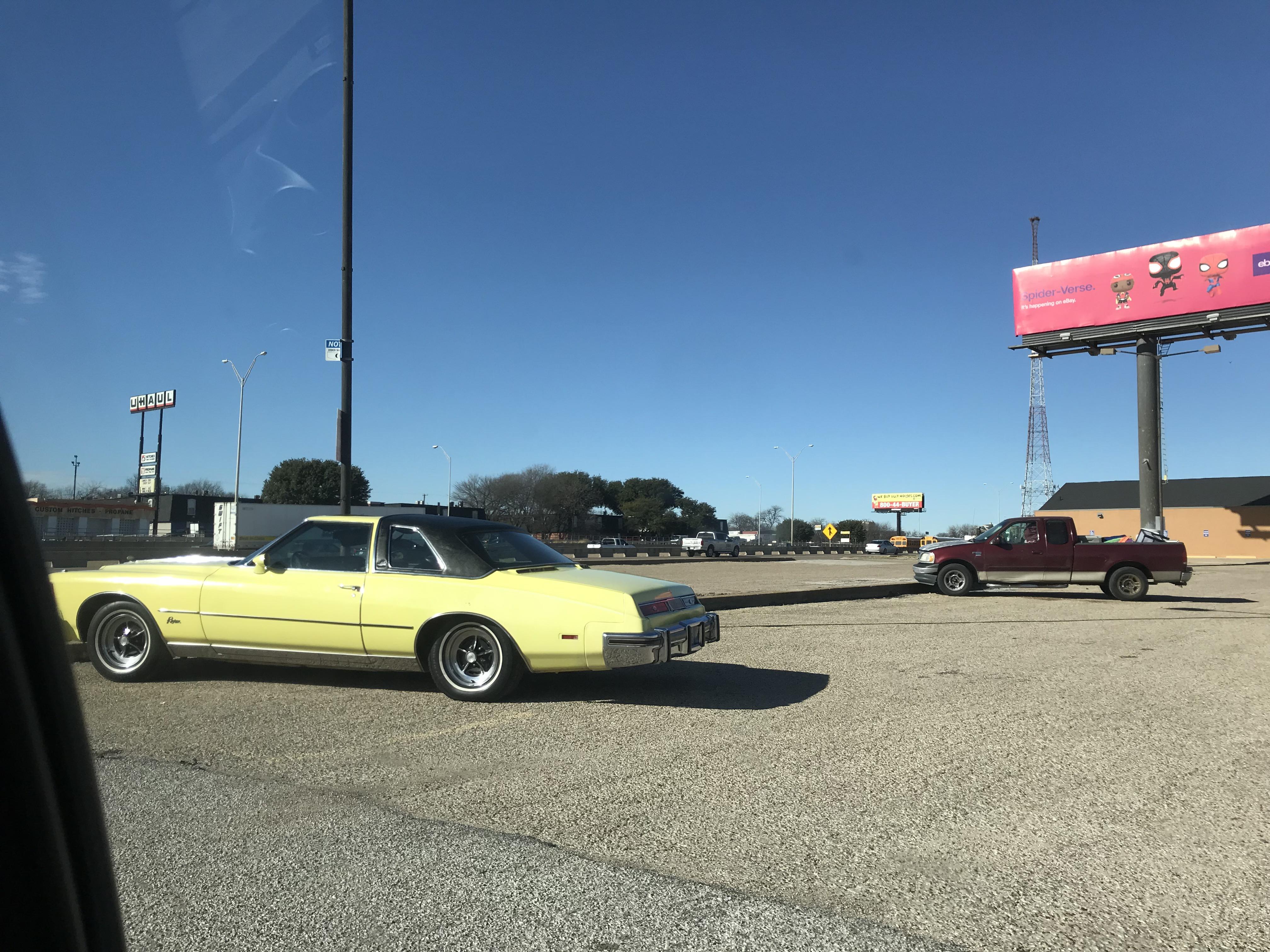 I found an Idaho in the Wild r/GTA