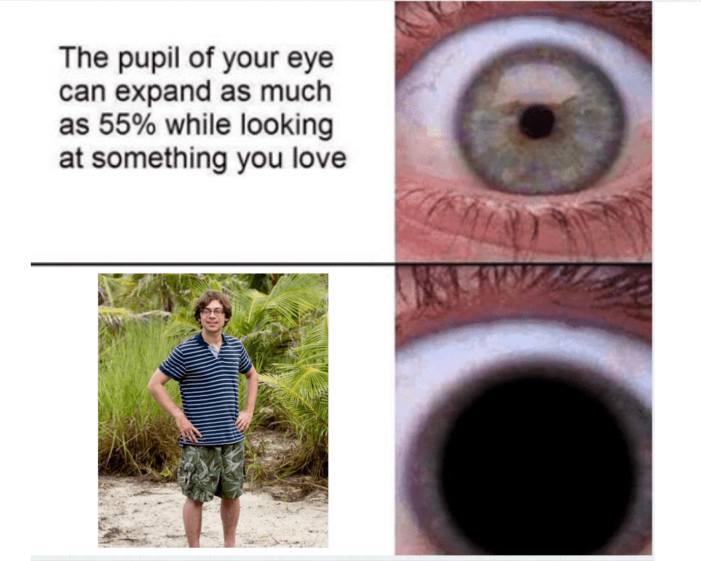 Funny meme format r/survivorcirclejerk