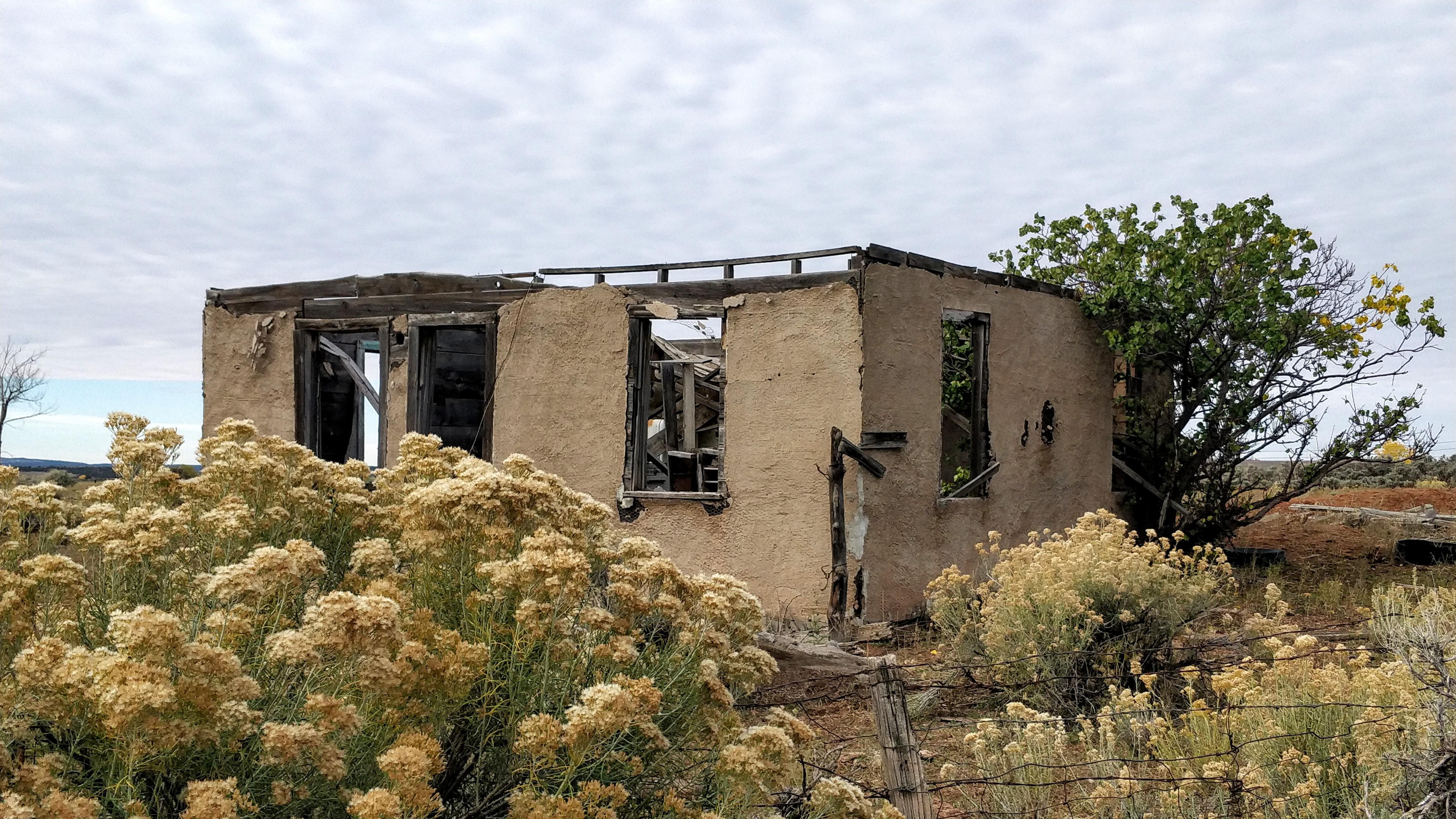 Highway 491 between Lewis and Yellow Jacket, Colorado 10/24/21 [OC] r