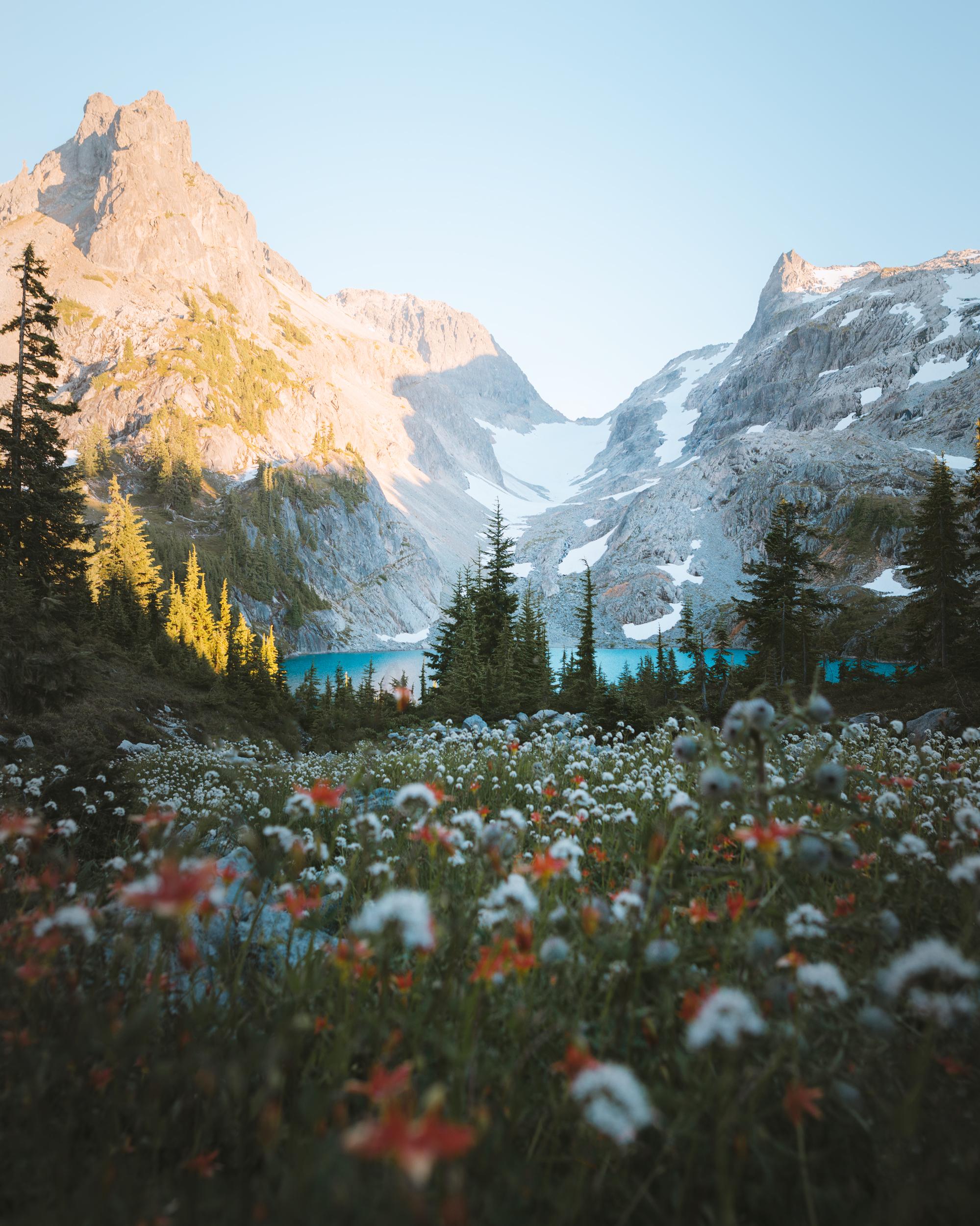 Fields of wildflowers and a beautiful lake.. favorite trip of the
