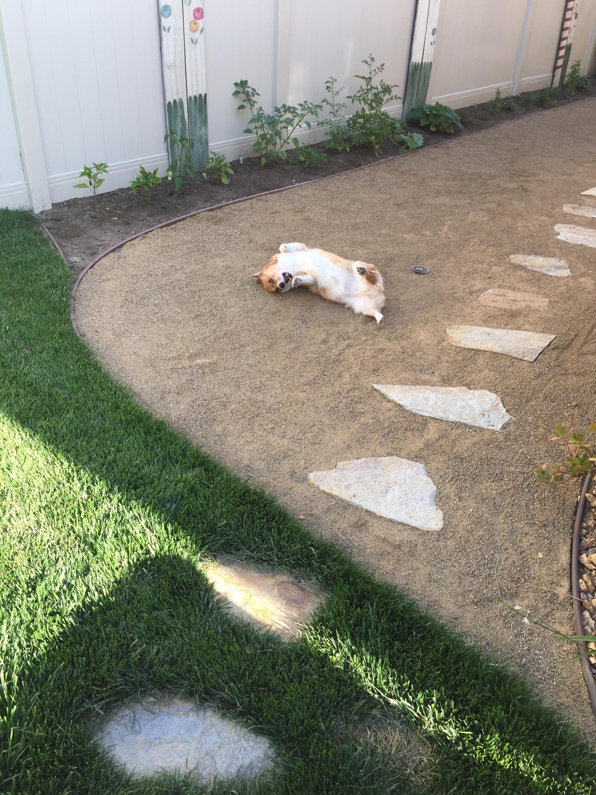 Help, my is broken. Any tips?