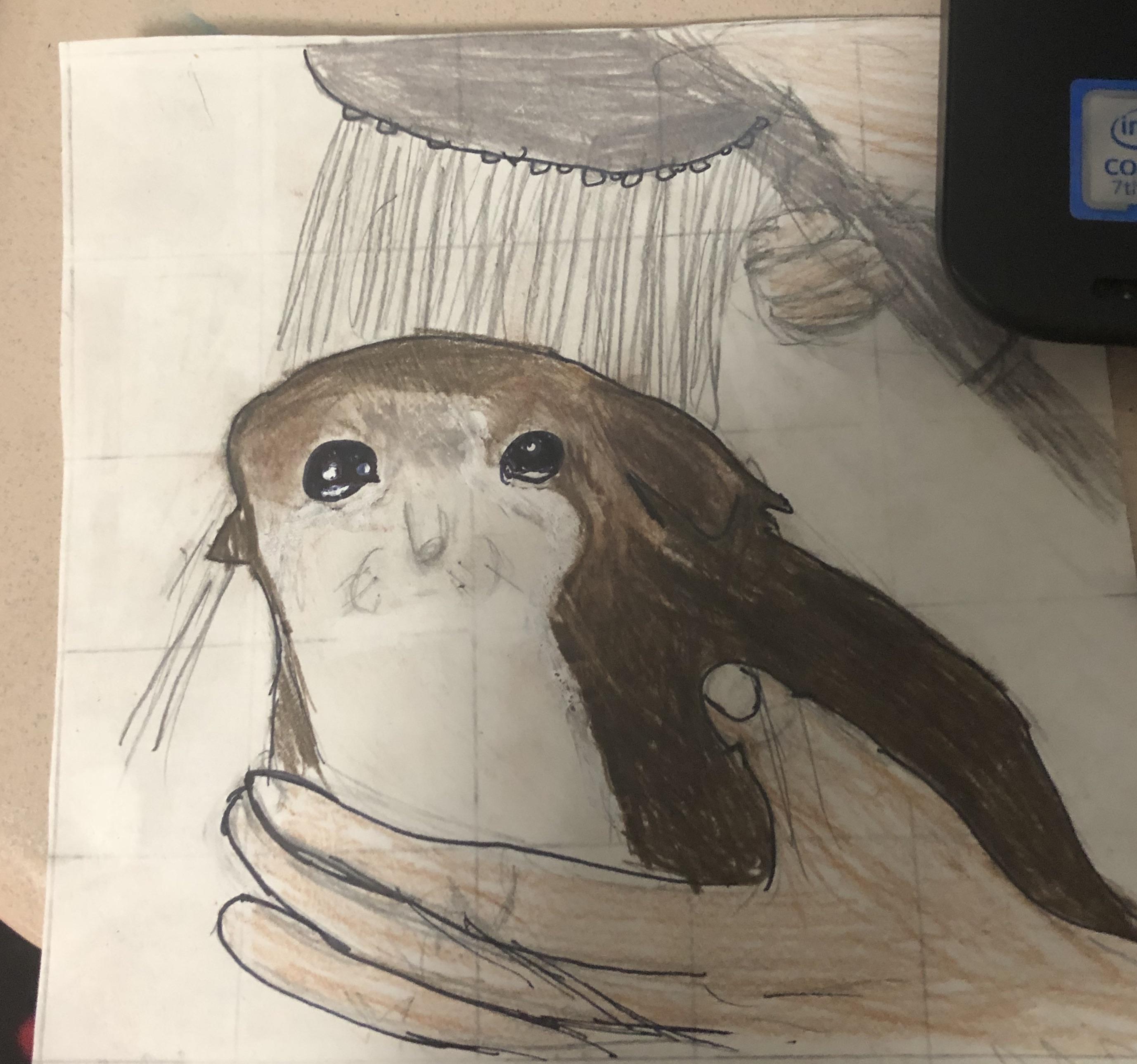 I’m not very good at drawing but i made crying shower cat r/drawing