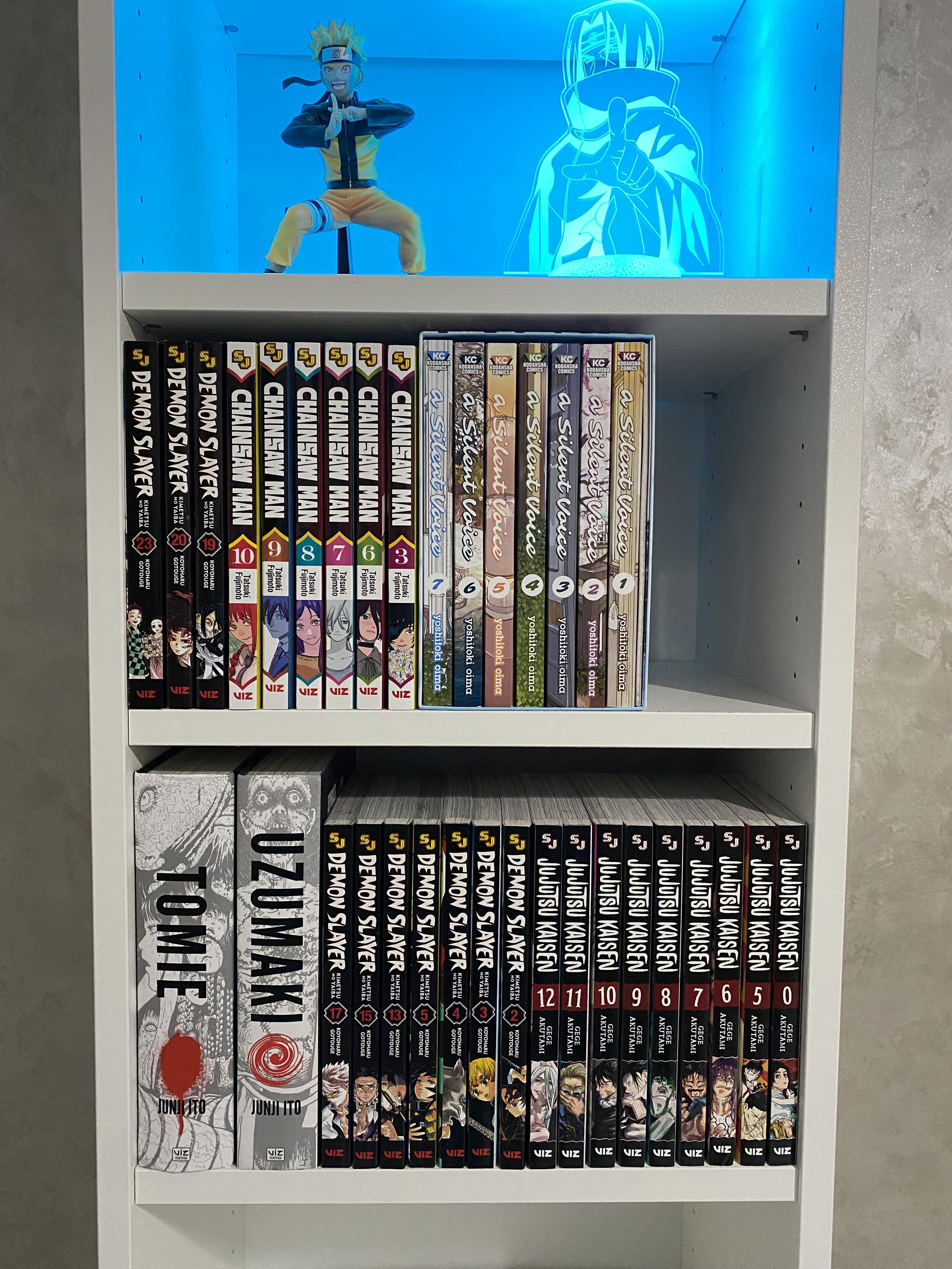 Here’s my manga collection after 1 year (I know it’s not much but getting english manga in