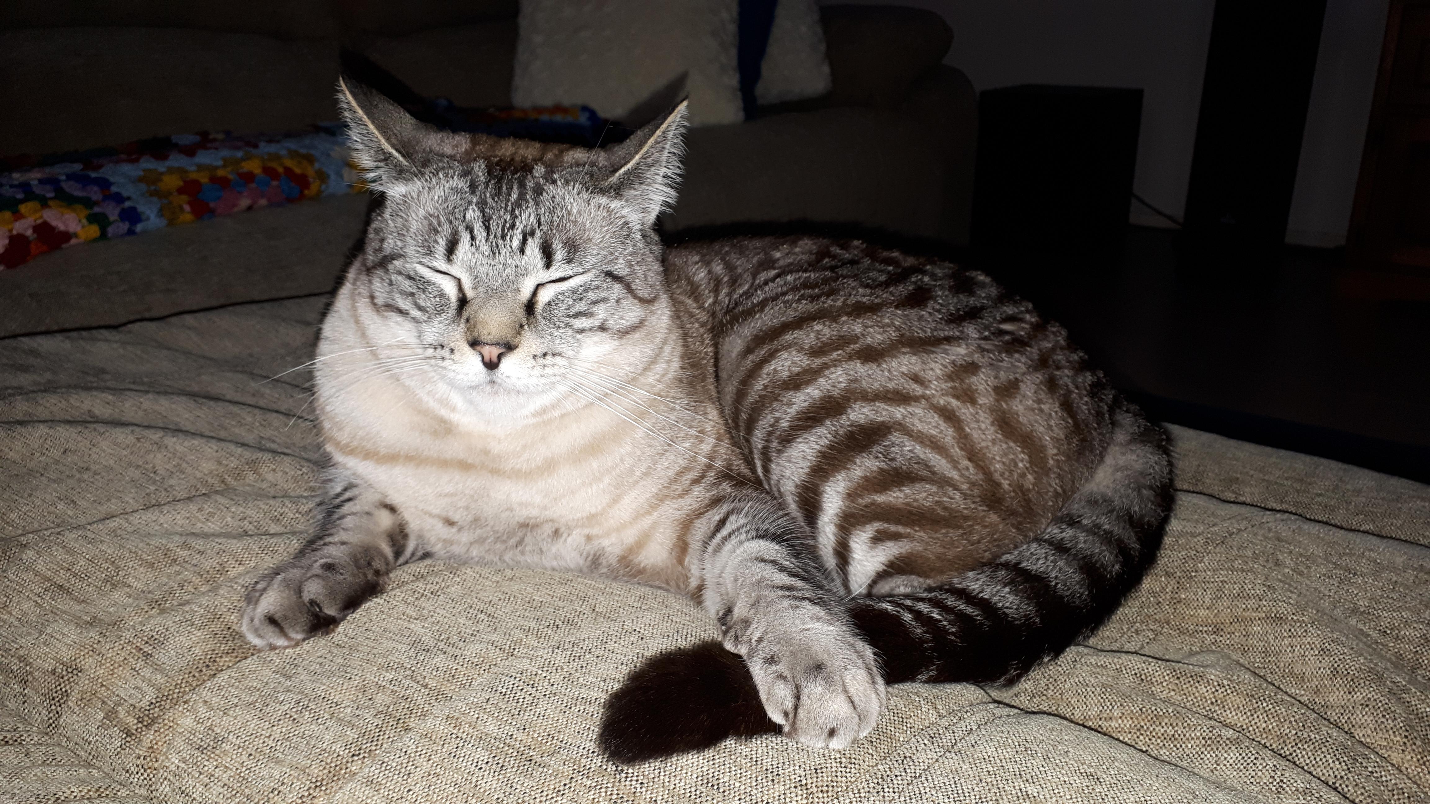 Neck rolls for days. r/Delightfullychubby