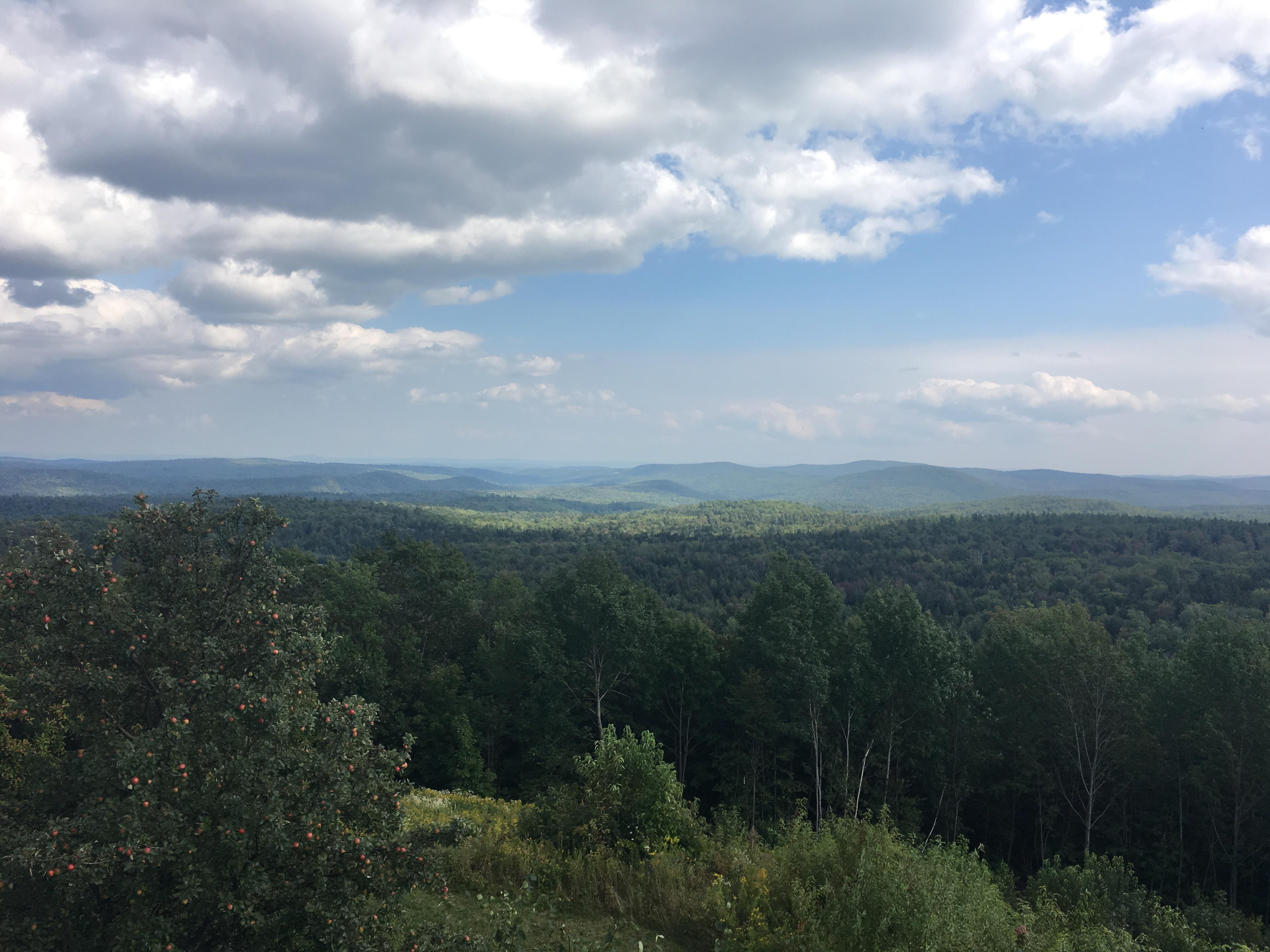 "100 Mile View" at Hogback Mountain, Marlboro, VT [4032x3024](OC) r