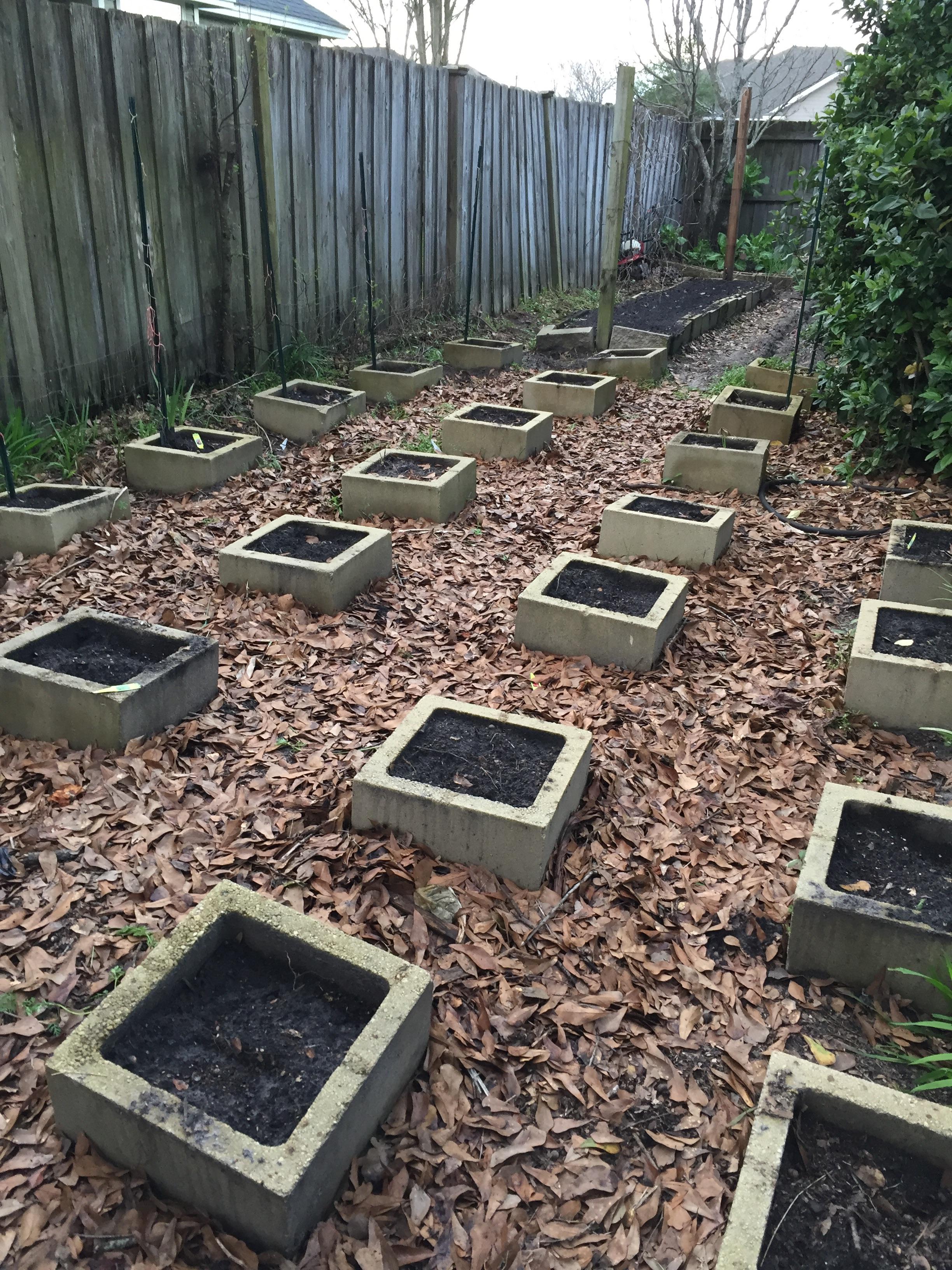 Garden spot is ready zone 8b r/gardening