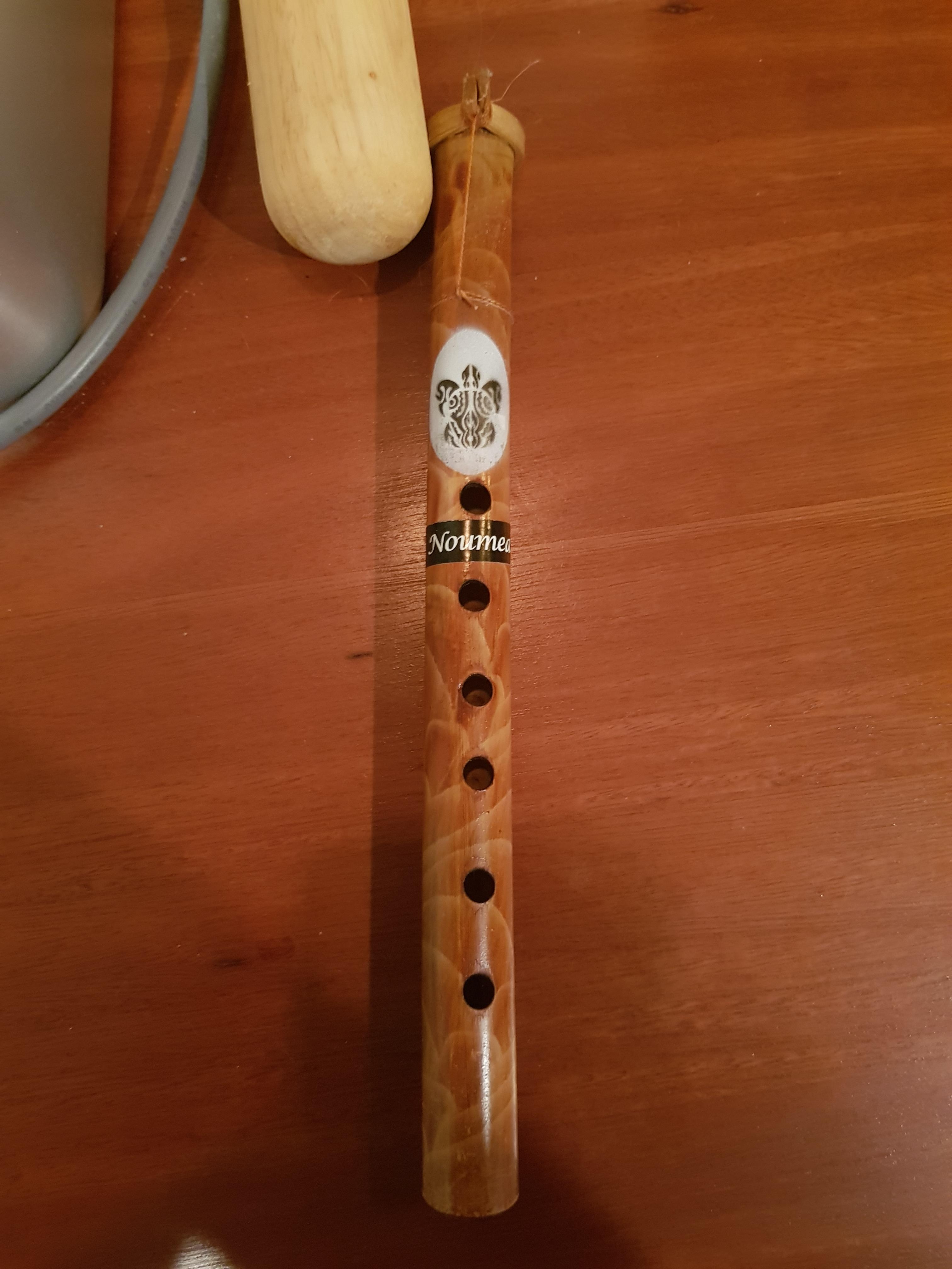 Got this instrument from a family member after they returned from