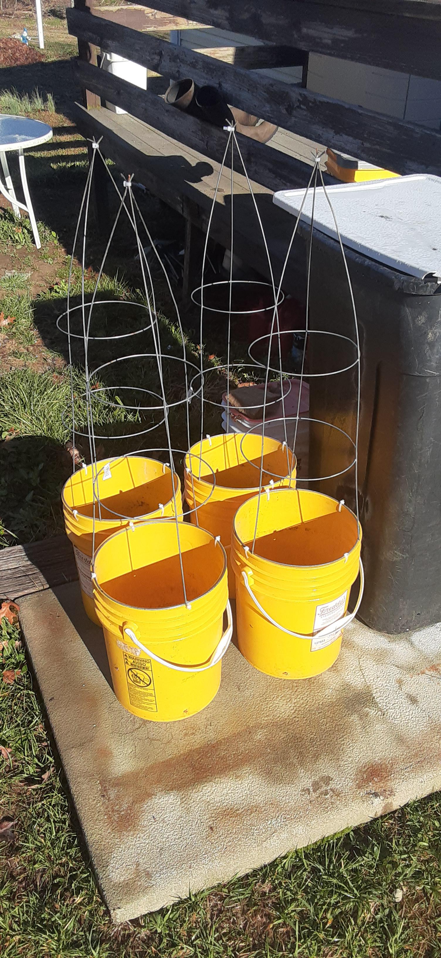 Getting my buckets set up for tomatoes and peppers. 5 gallon kratky
