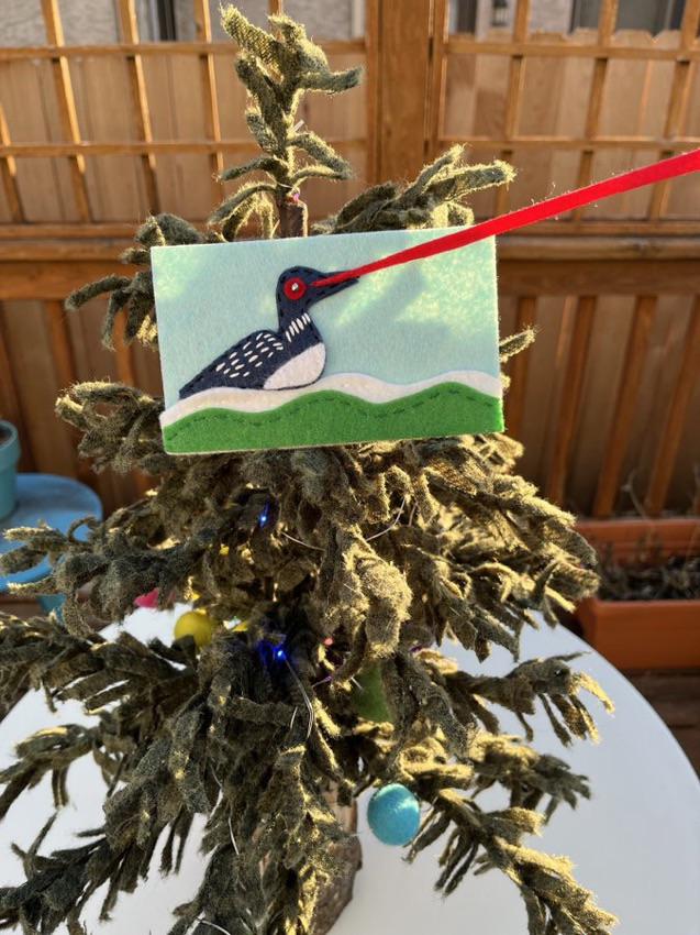 The laser eyes loon flag will forever be in our hearts r/minnesota