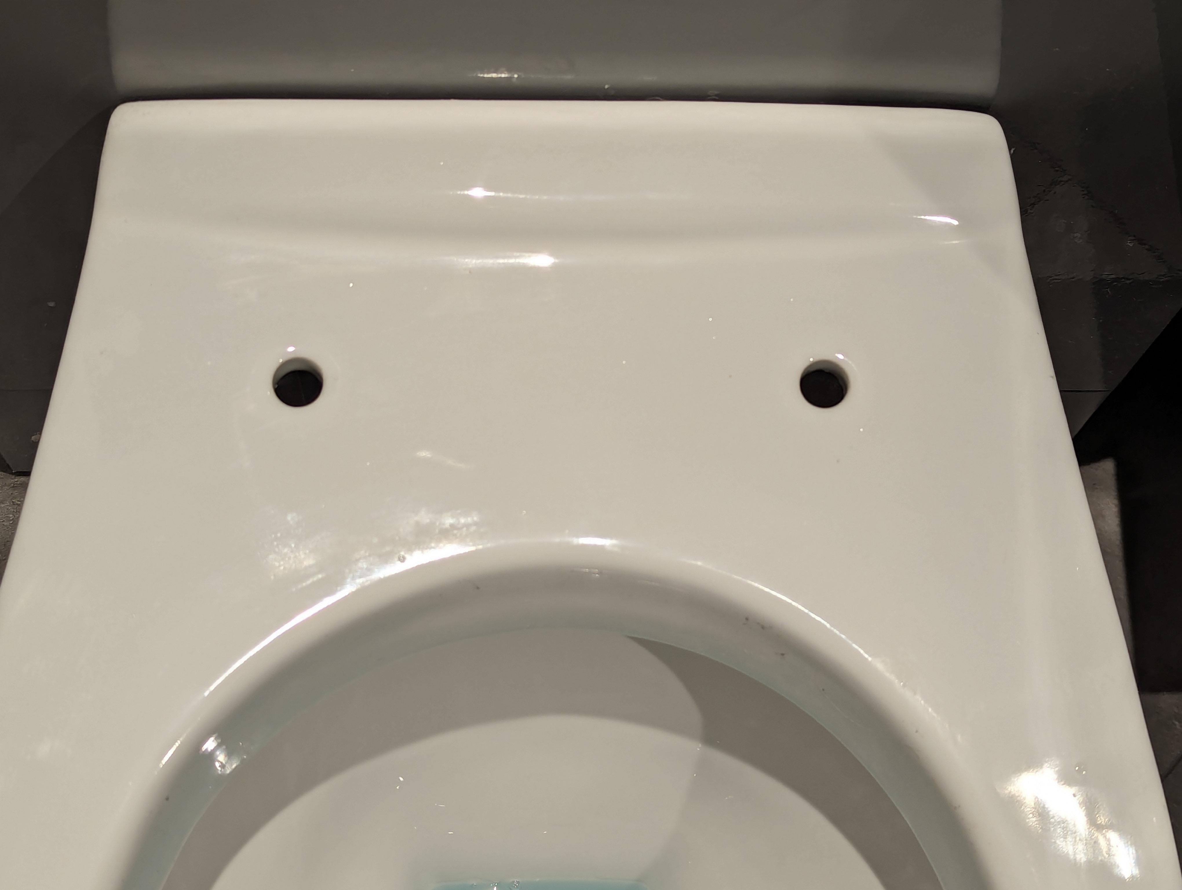 Toilet seat screw dropped inside the porcelain 😭 r/Plumbing