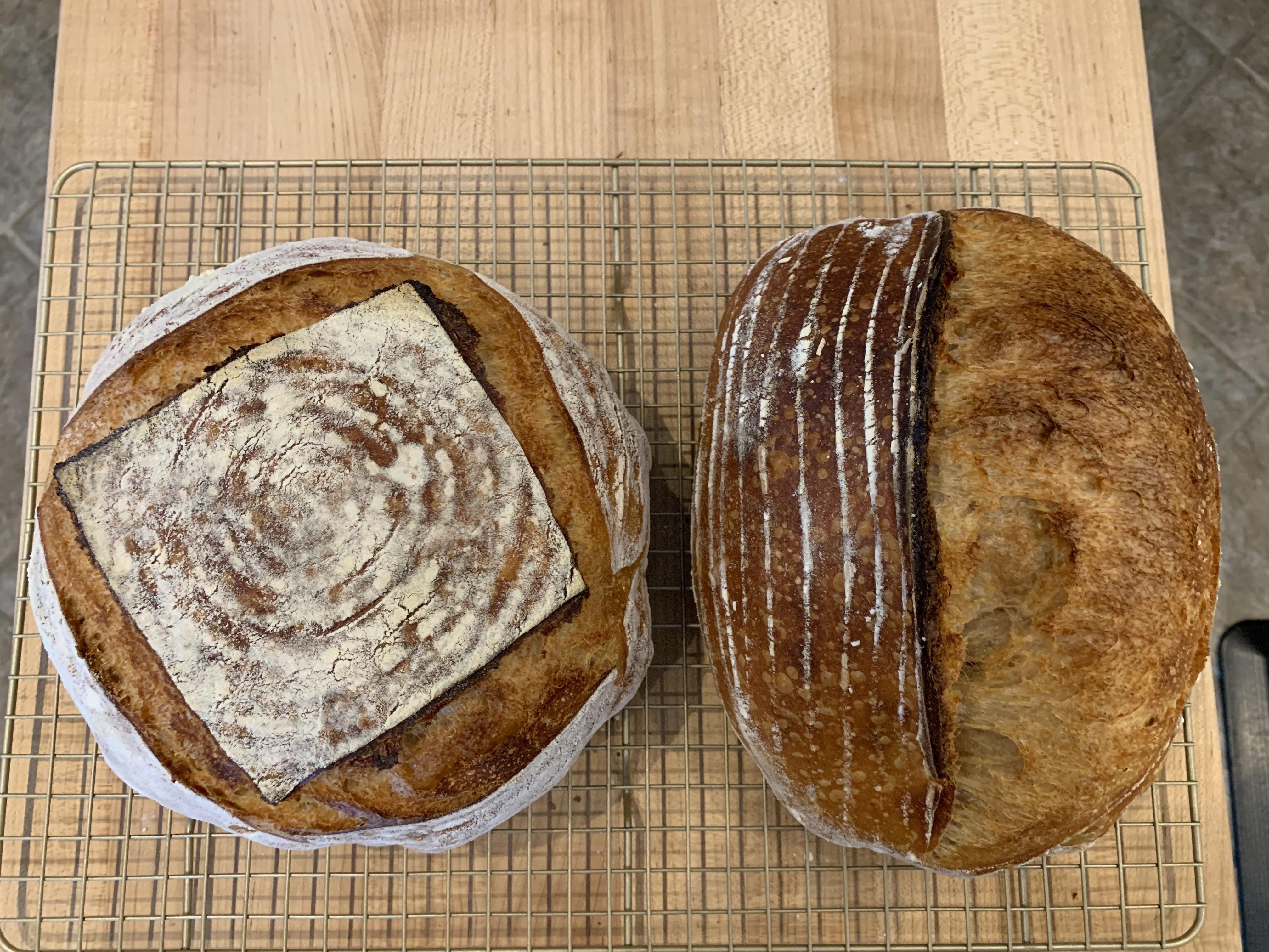 Boule + bâtard r/Sourdough