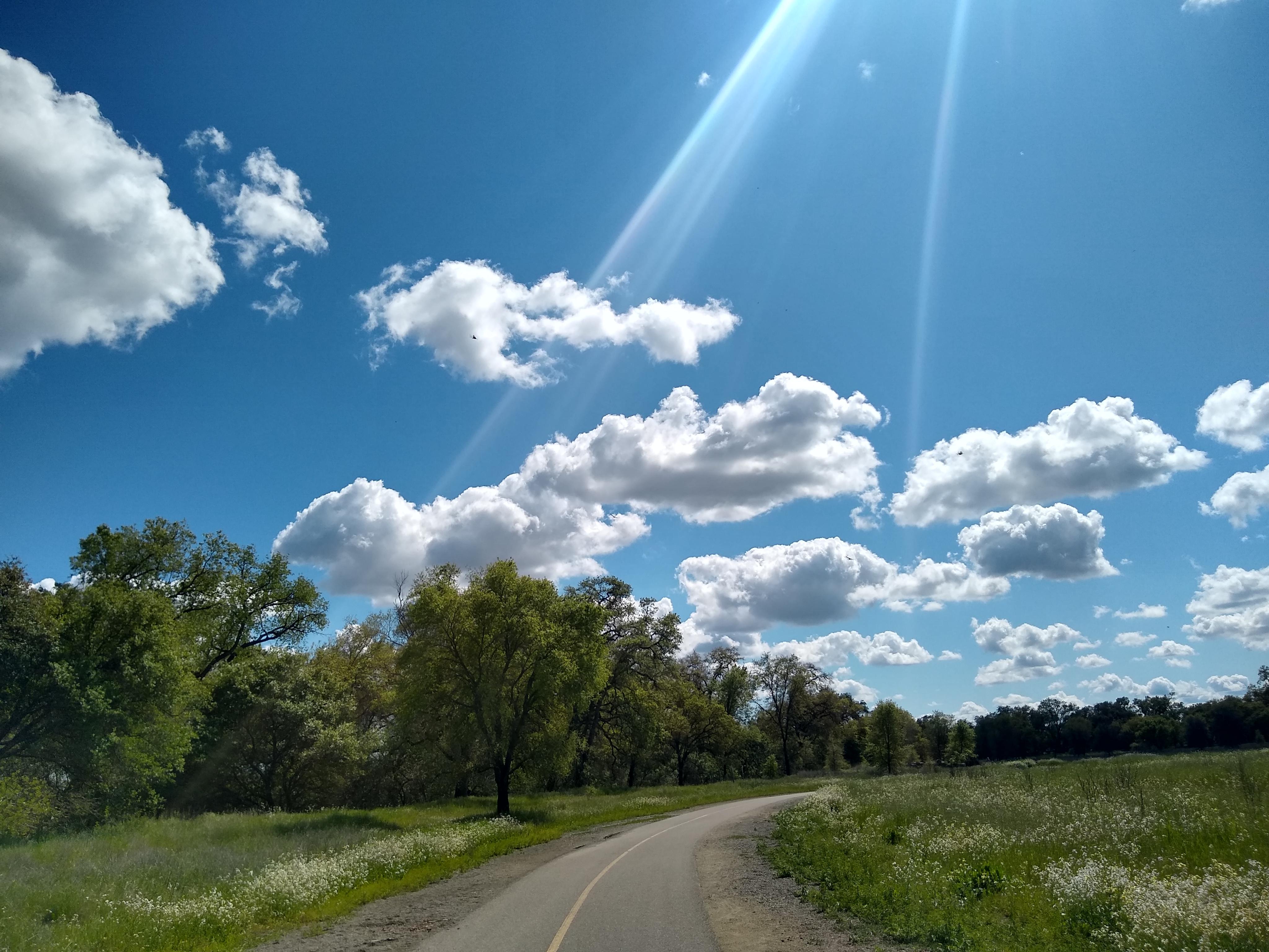 Dry Creek bike trail was glorious in yesterday's bike ride r/Sacramento