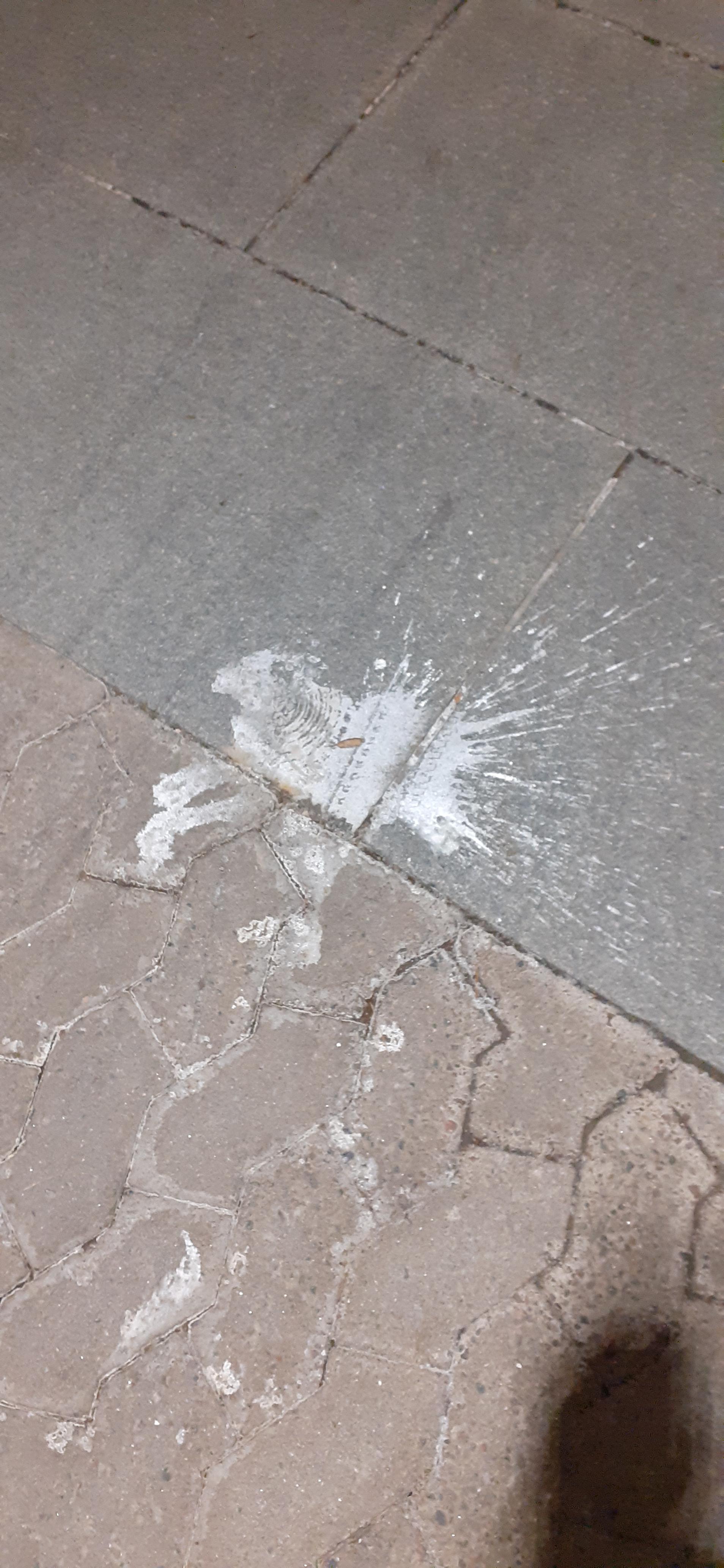 This paint splash looks like a ram having explosive diarrhea r