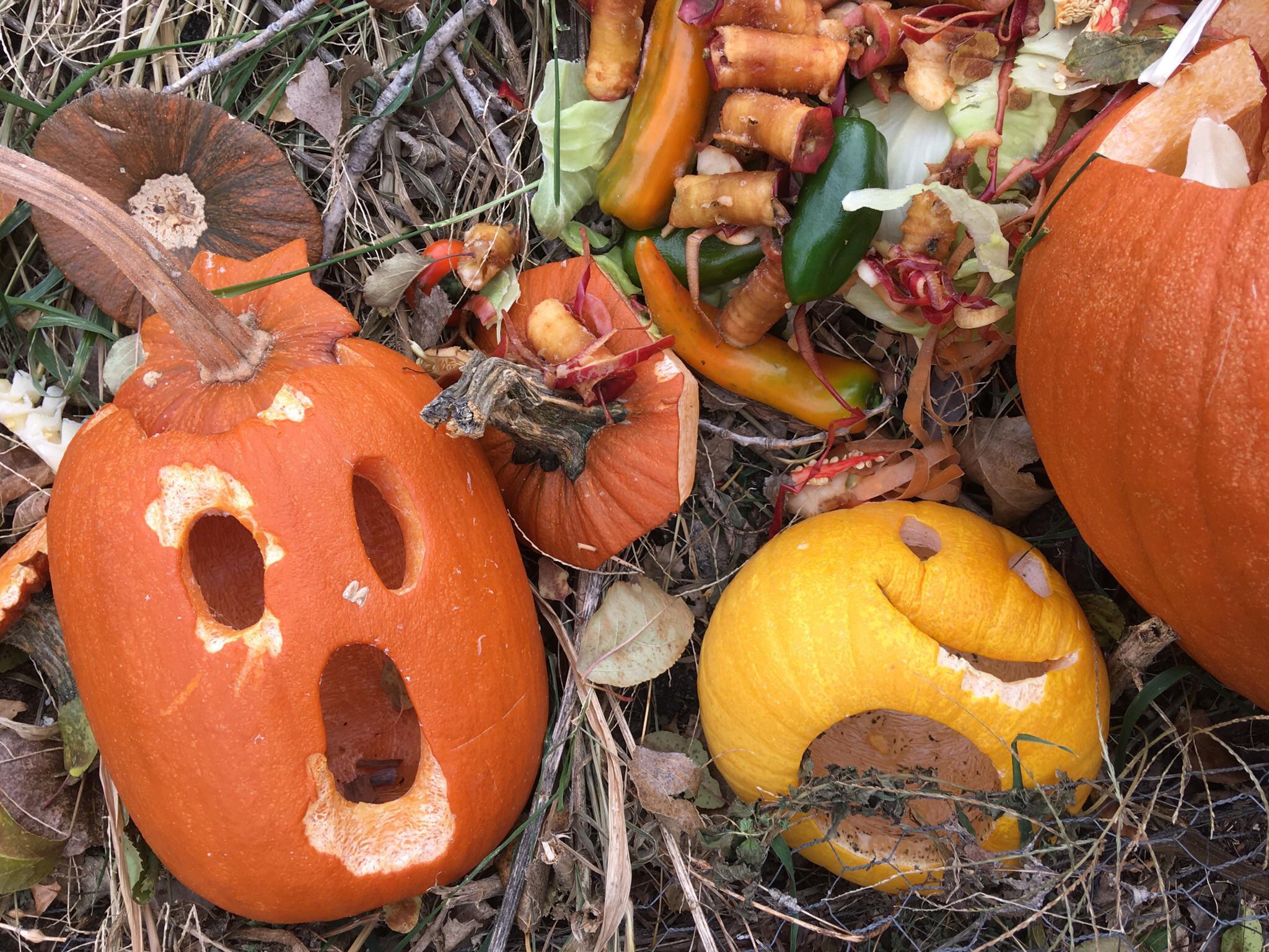 Composting after Halloween composting