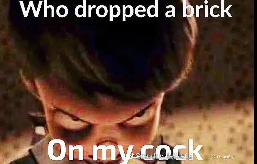 Bricked up r/memesfy