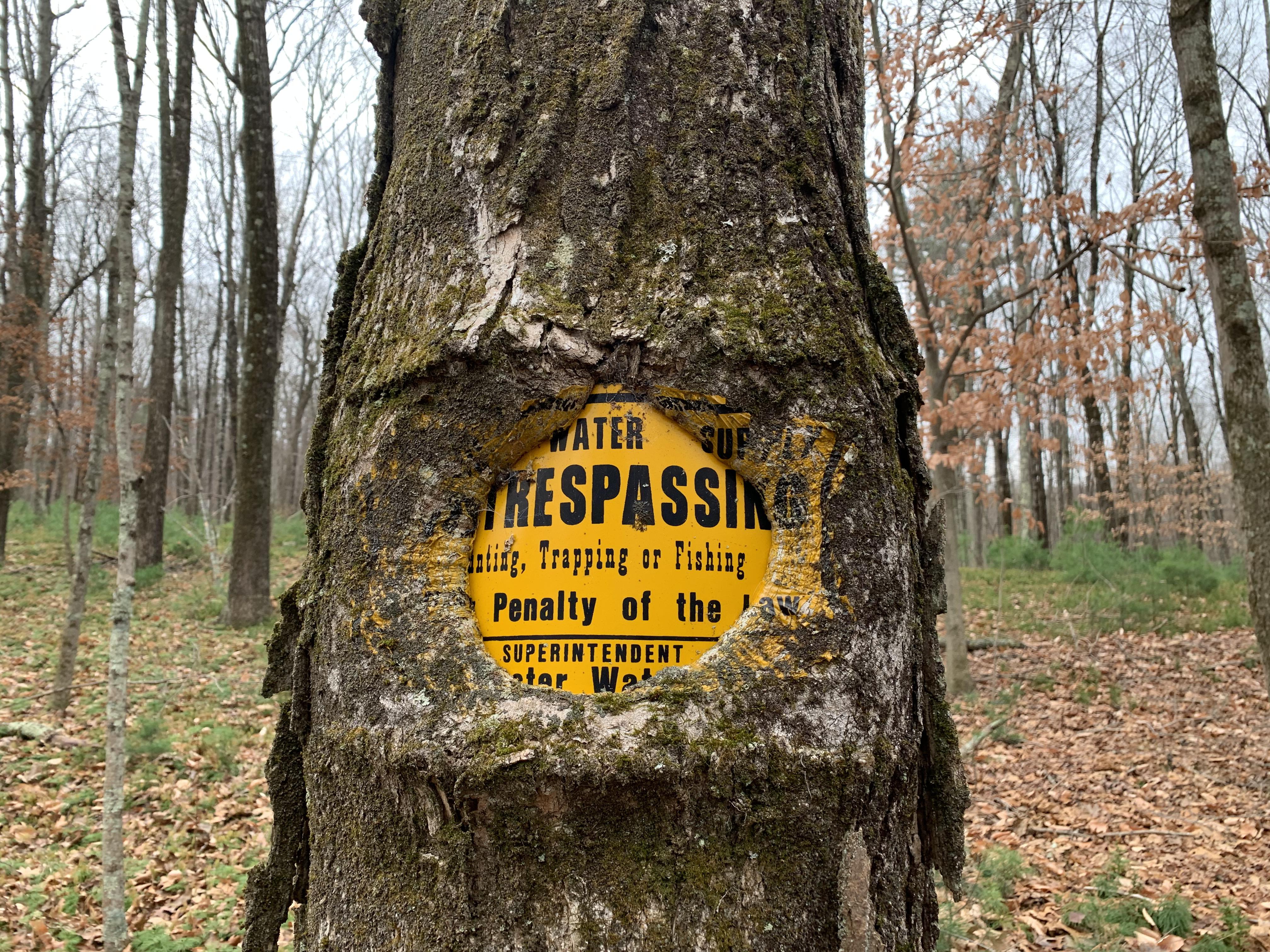 This no trespassing sign. r/TreesSuckingOnThings