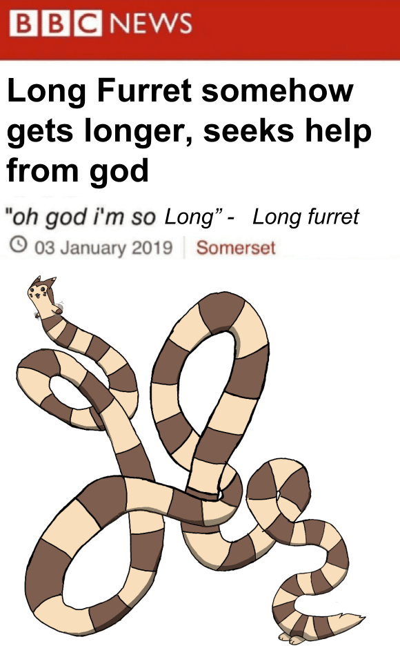Longerer Furret pokemon