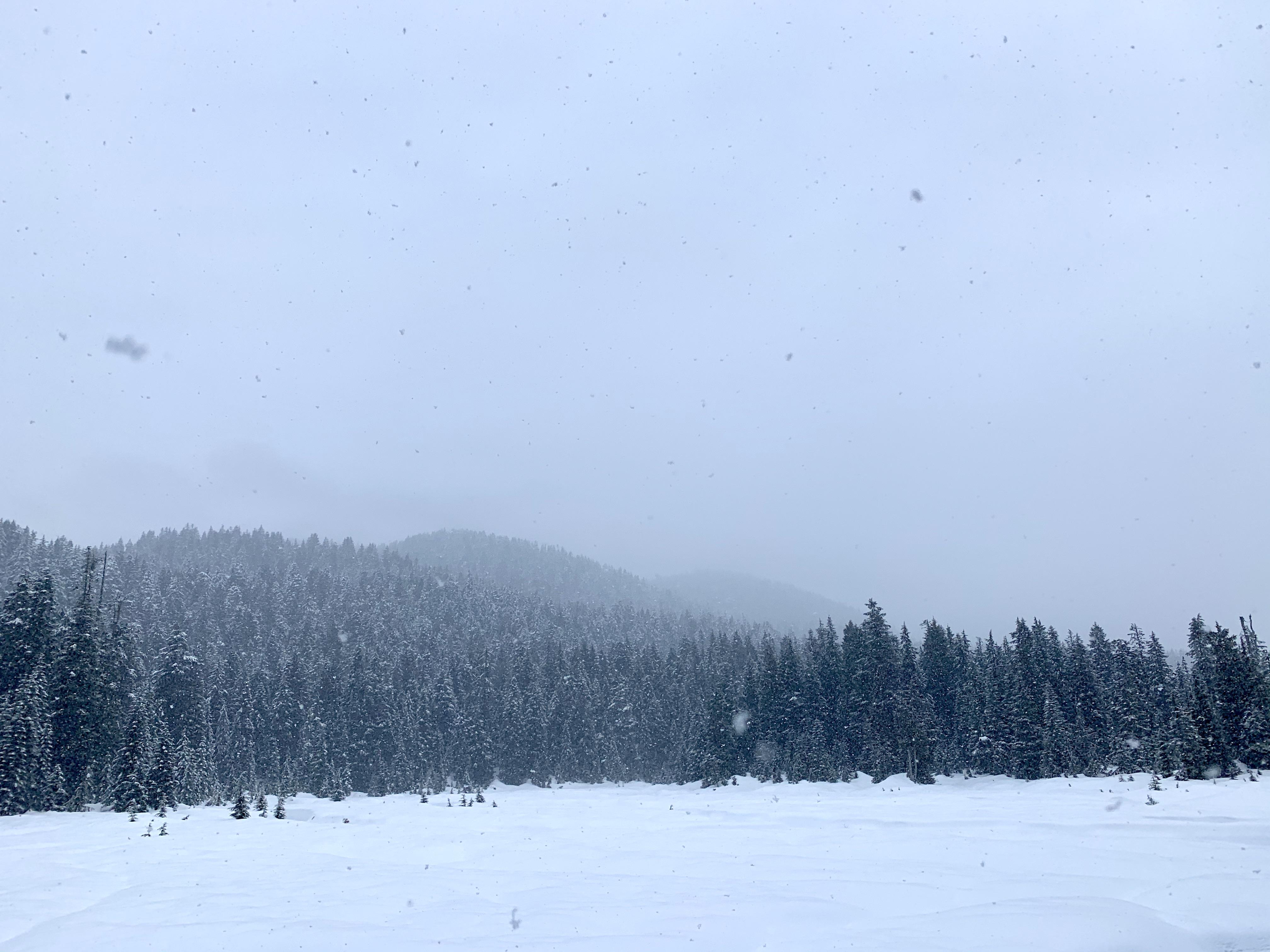 Munro Lake March 7th 2020 r/vancouver