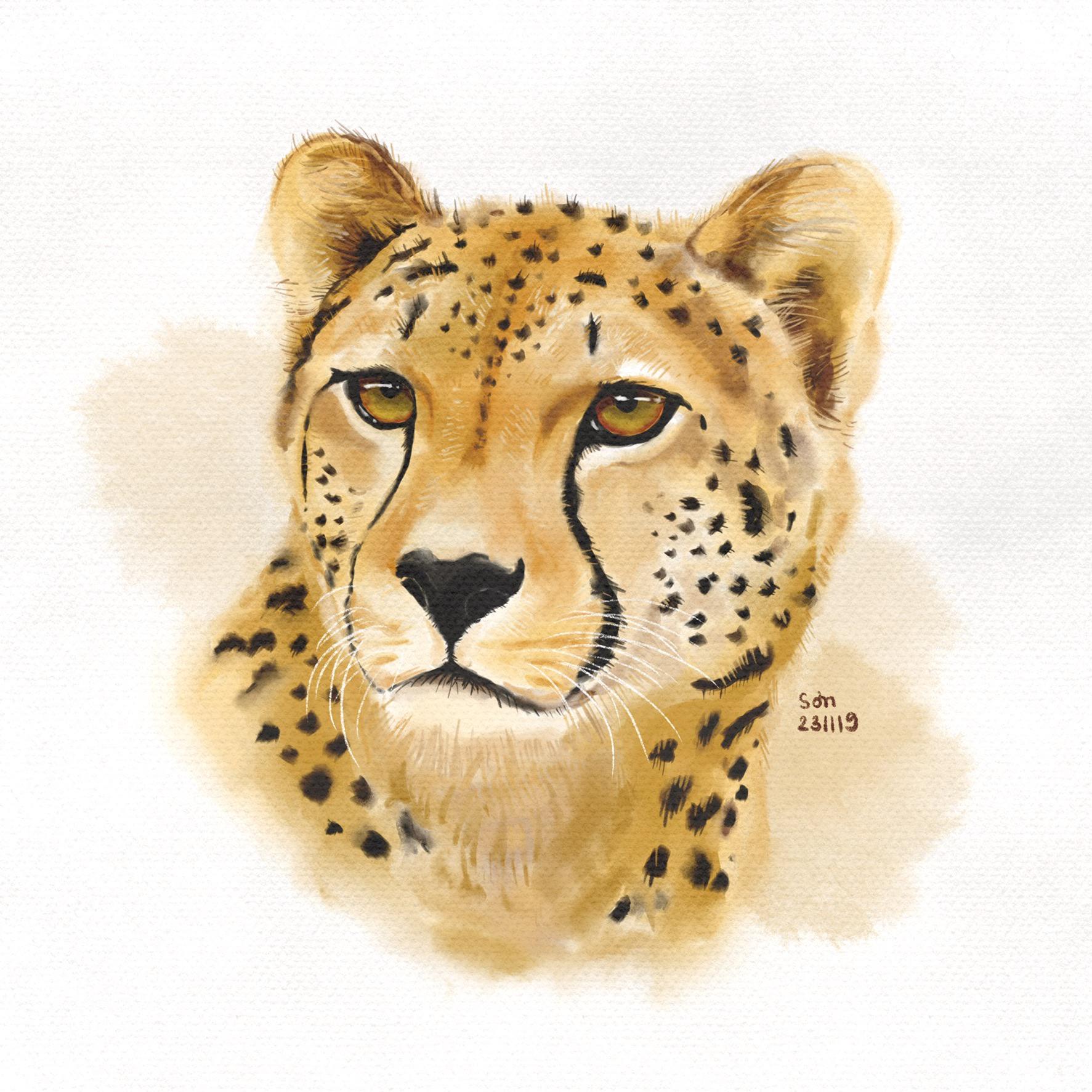 Cheetah r/Watercolor
