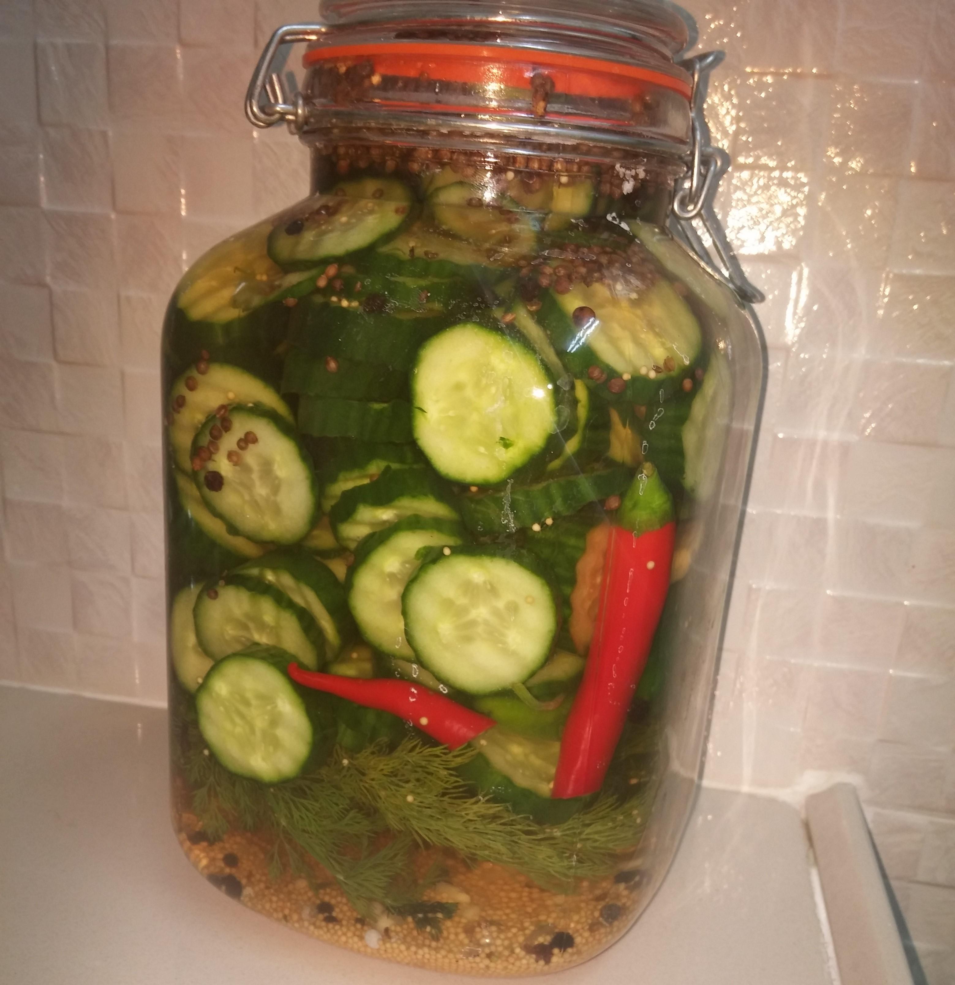 My first pickled cucumbers jar w/ garlic, coriander seeds, mustard