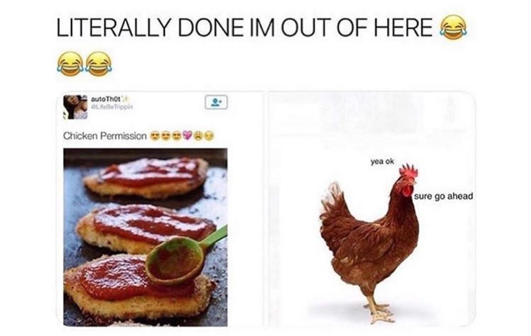 Chicken Permission r/funny