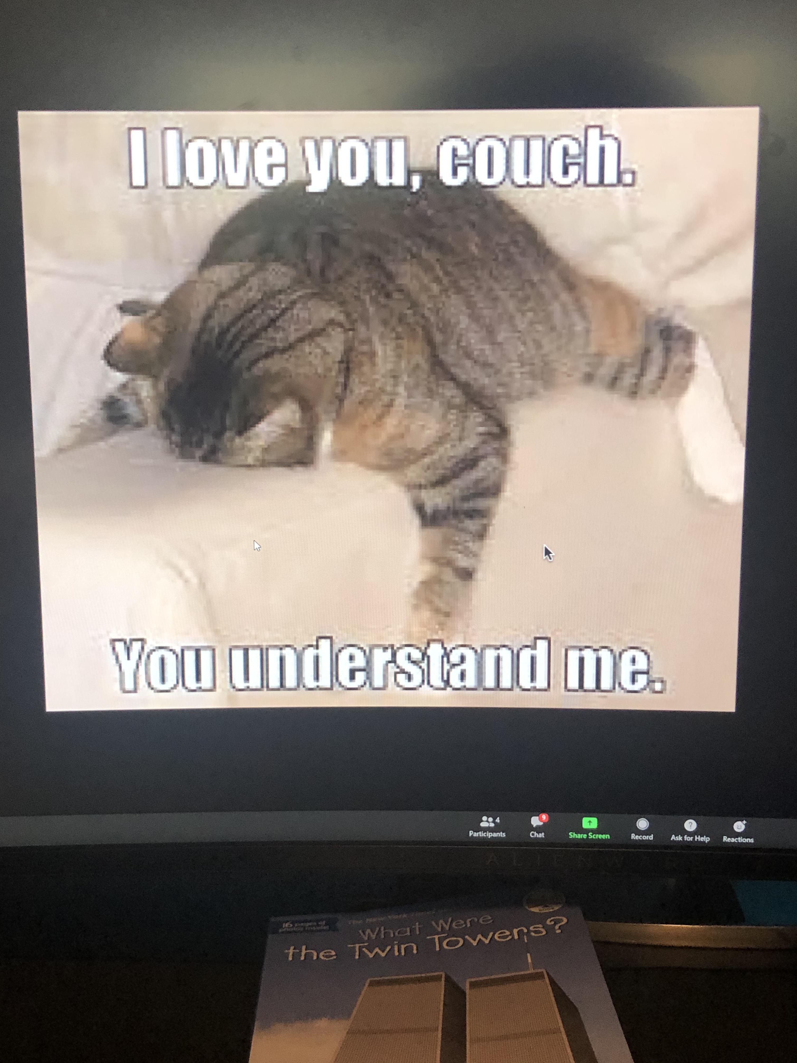 I Love You Couch You Understand Me me_irl me_irl