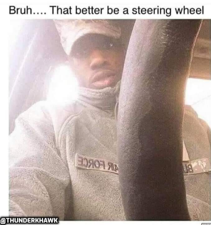 Steering wheel? It has veins. r/DirtyMemes