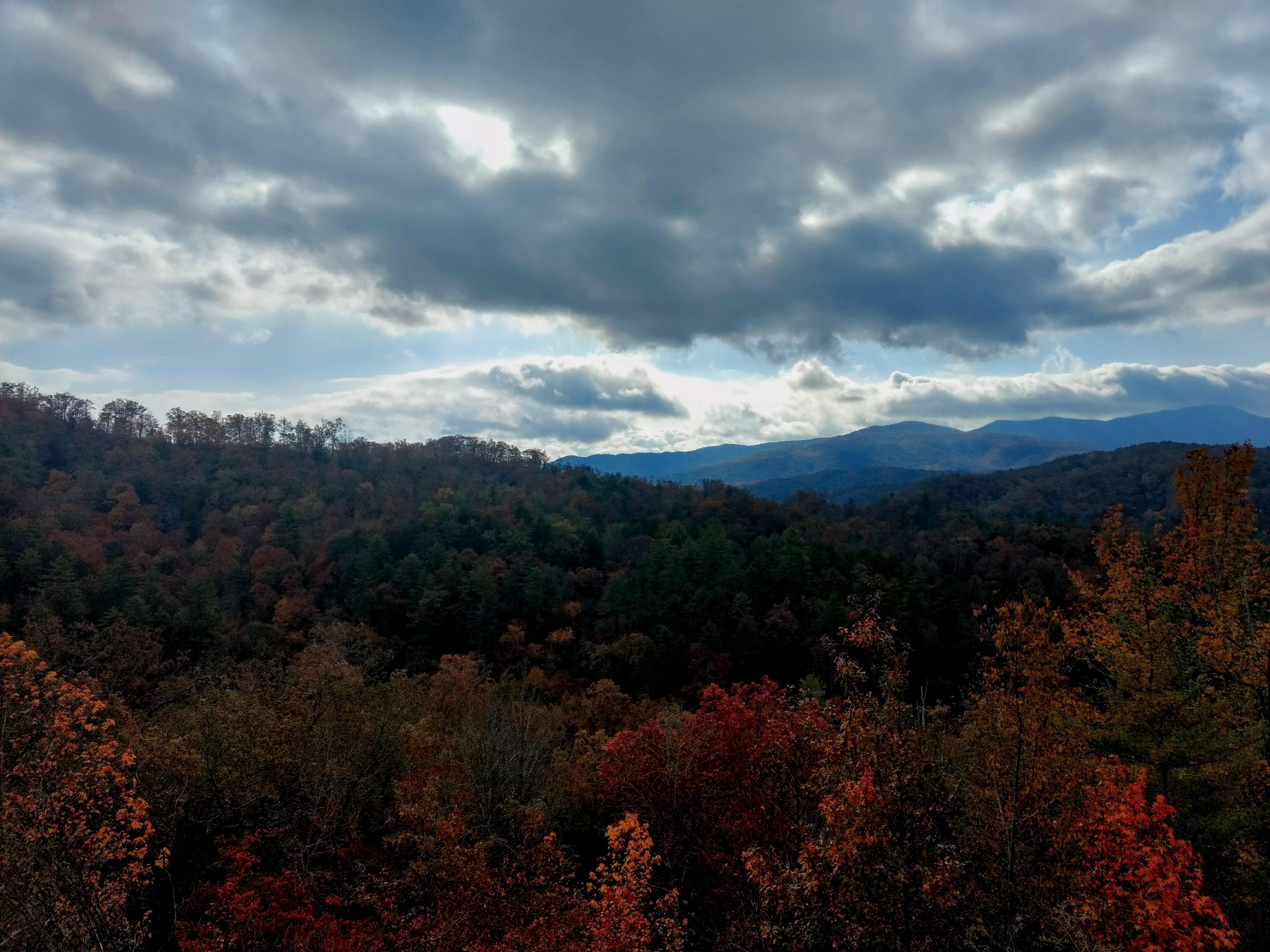 Cherohala Skyway is beautiful in the fall. r/Tennessee