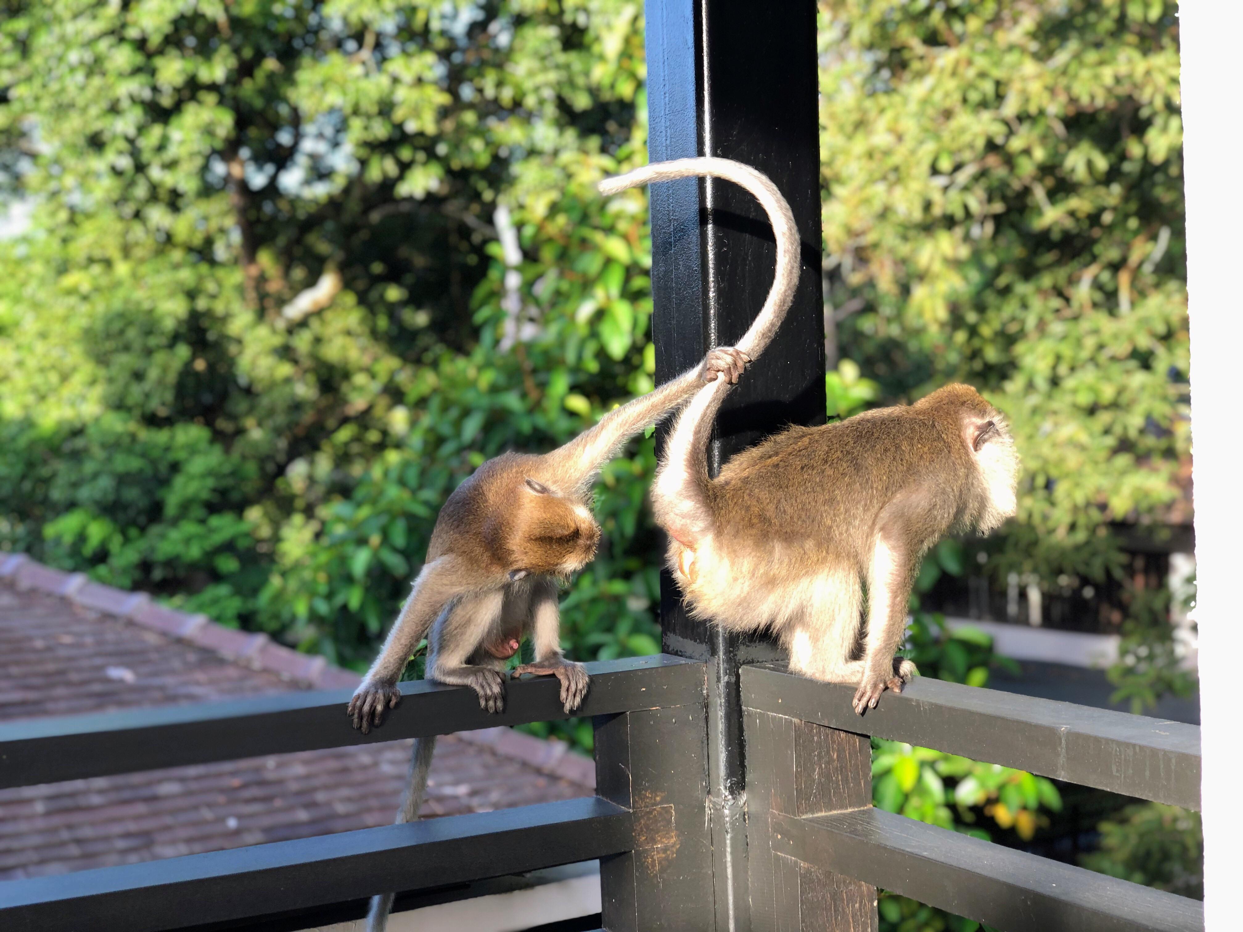 Okay Reddit, Caption Contest r/funny