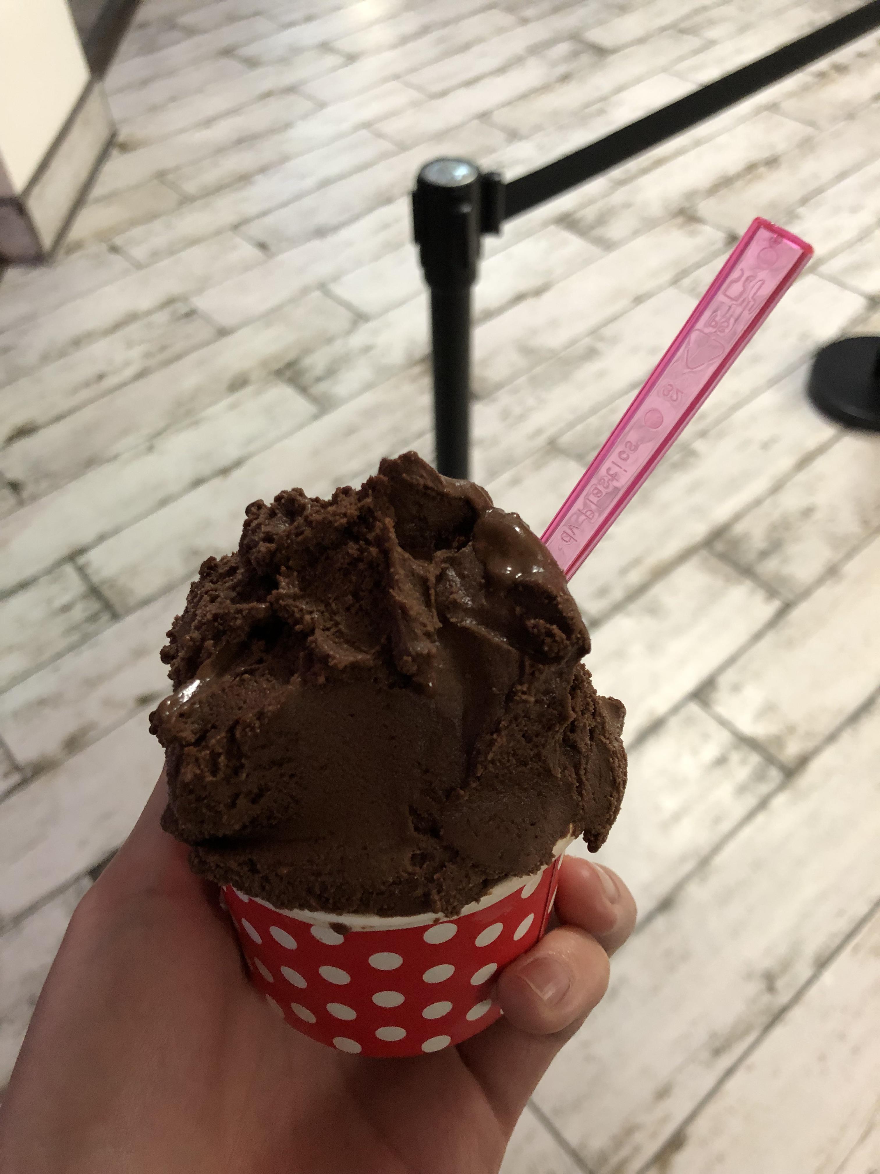 Dolce Gelato vegan flavors slap. The Chocolate Almond Milk tastes like