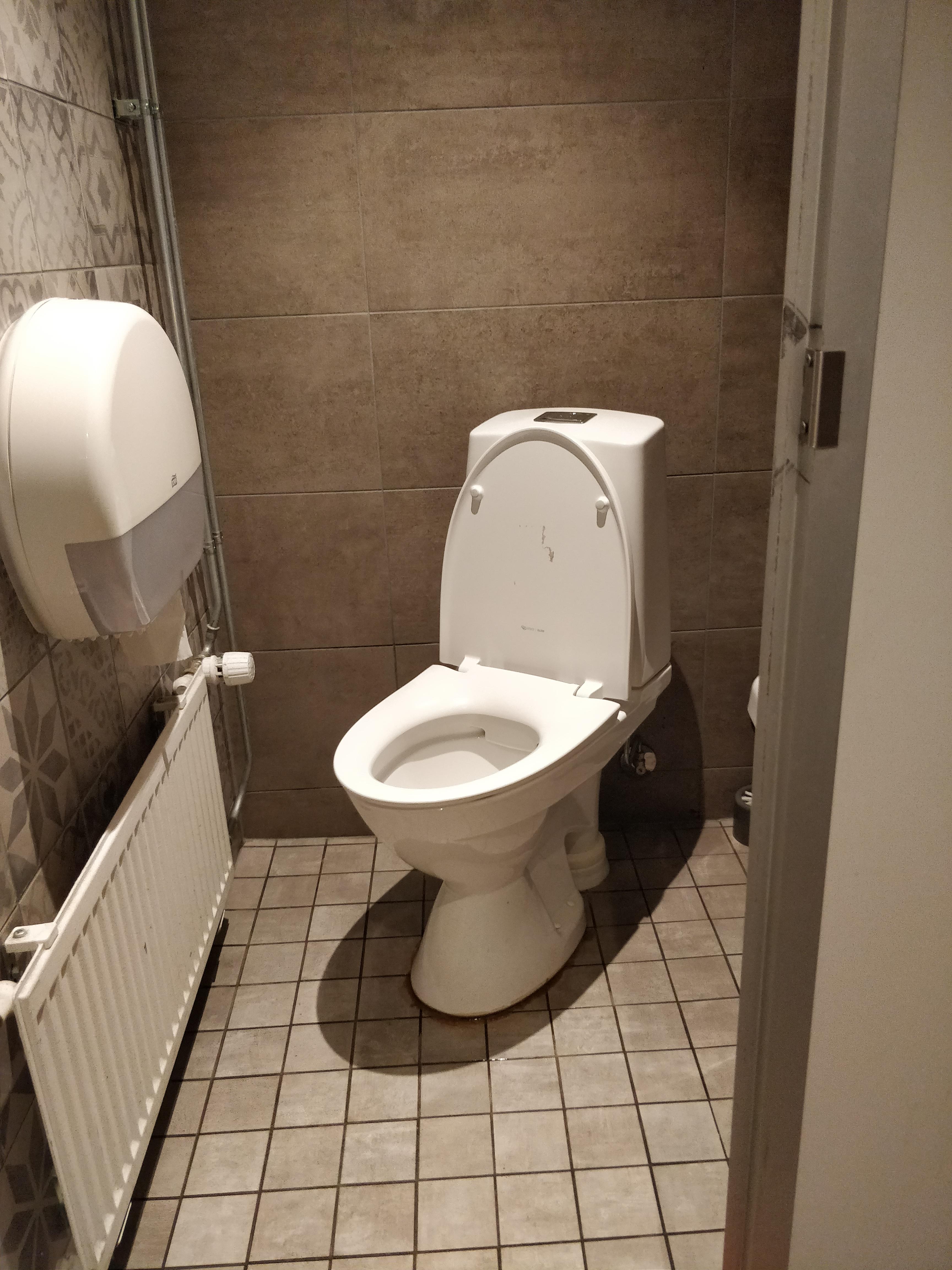 Toilet sideways r/CrappyDesign