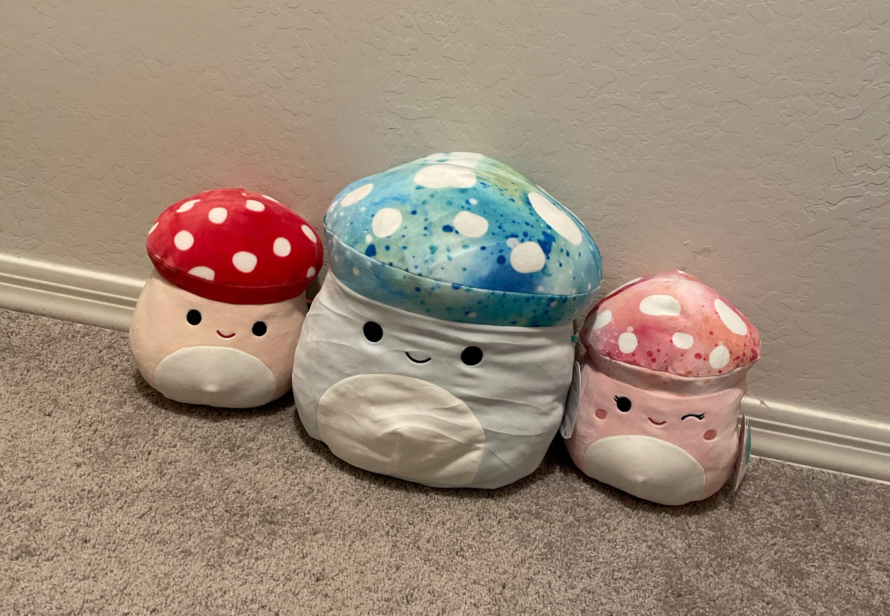 My mushies 🍄🧚🏼🪴 I may have laid on xavier for too long 😅 r/squishmallow