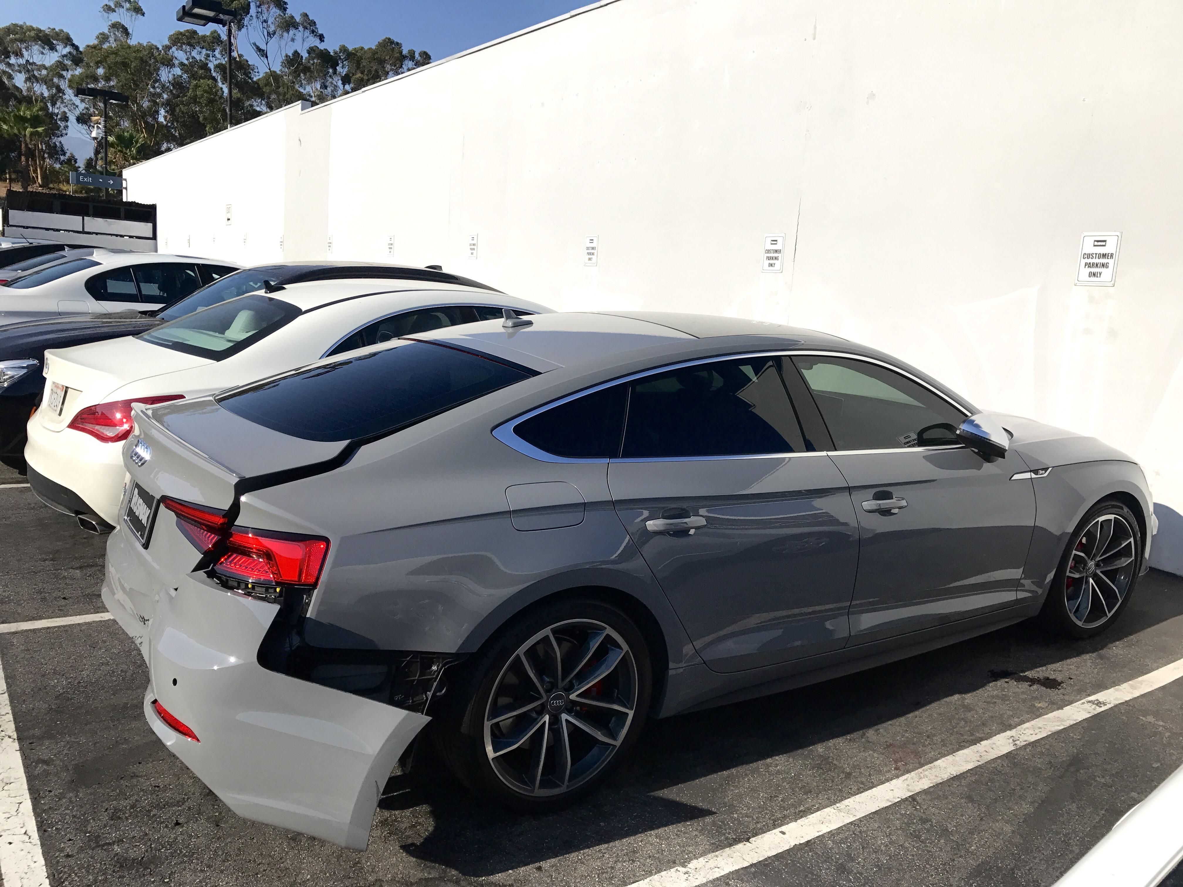 Prayers for a fallen friend. She was so young ('18 S5 Sportback (Nardo