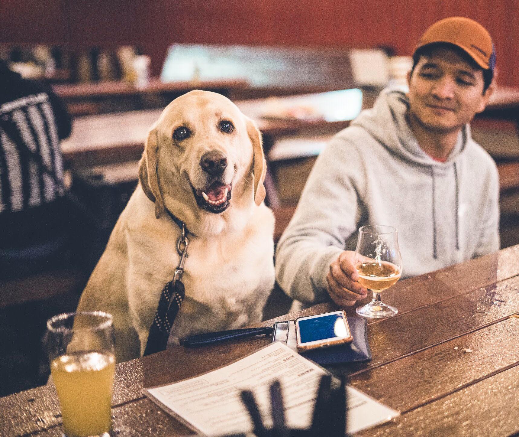 Friday night at the local dog friendly brewery. You will always find