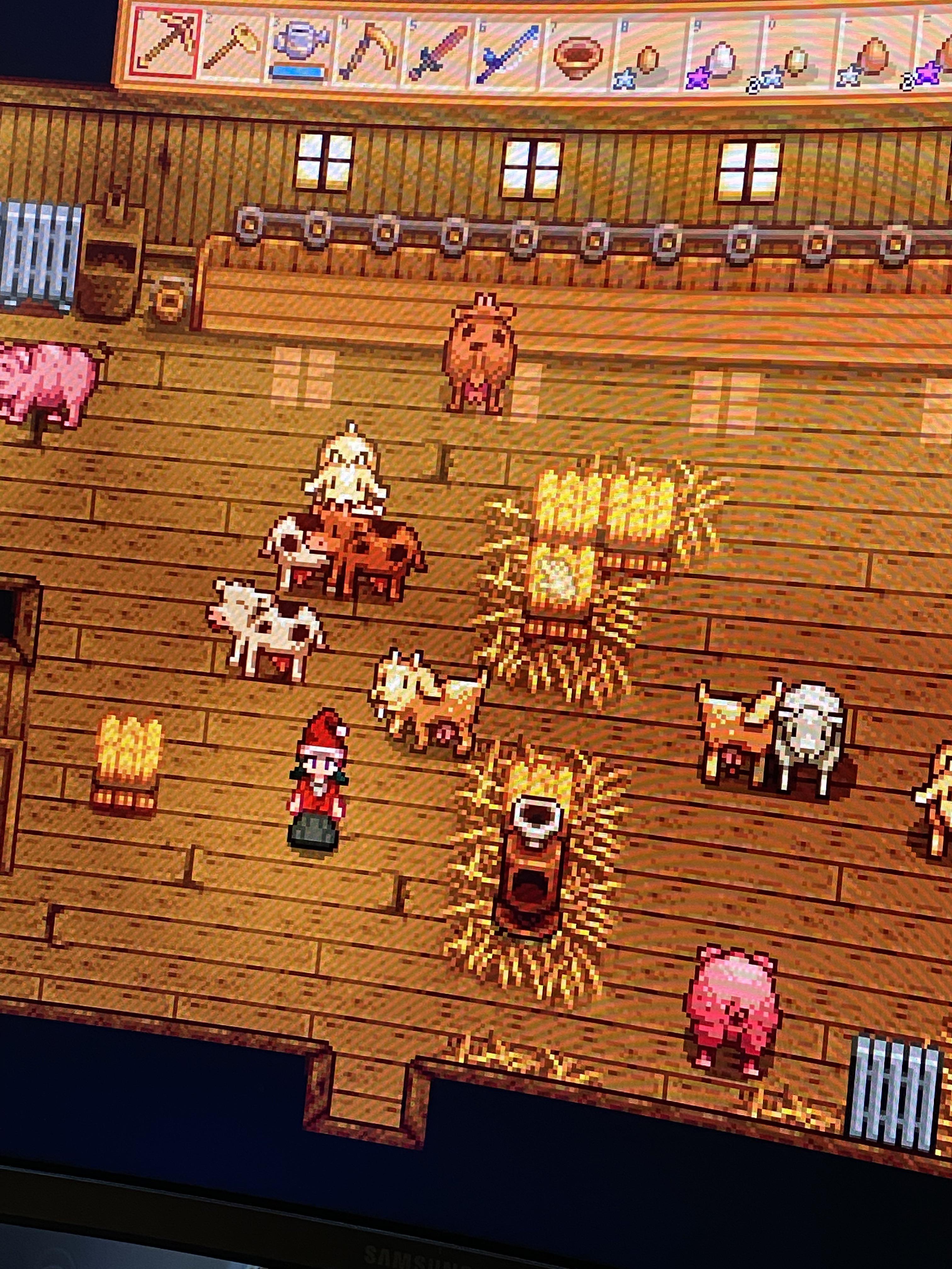 Why are my animals grumpy I have the heaters on and pet them every day