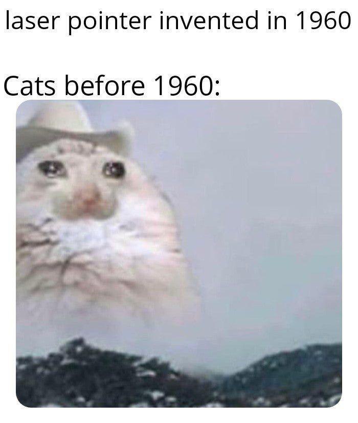oof sadcats