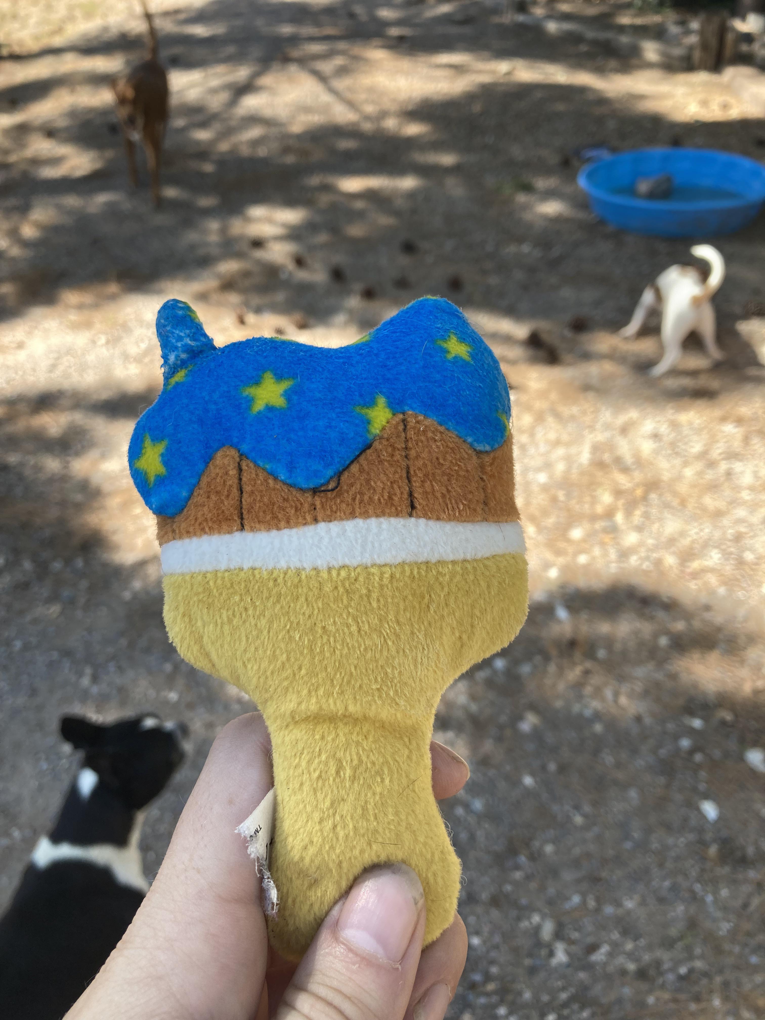 I’m dog sitting and I found a starry paint brush in their yard r/neopets