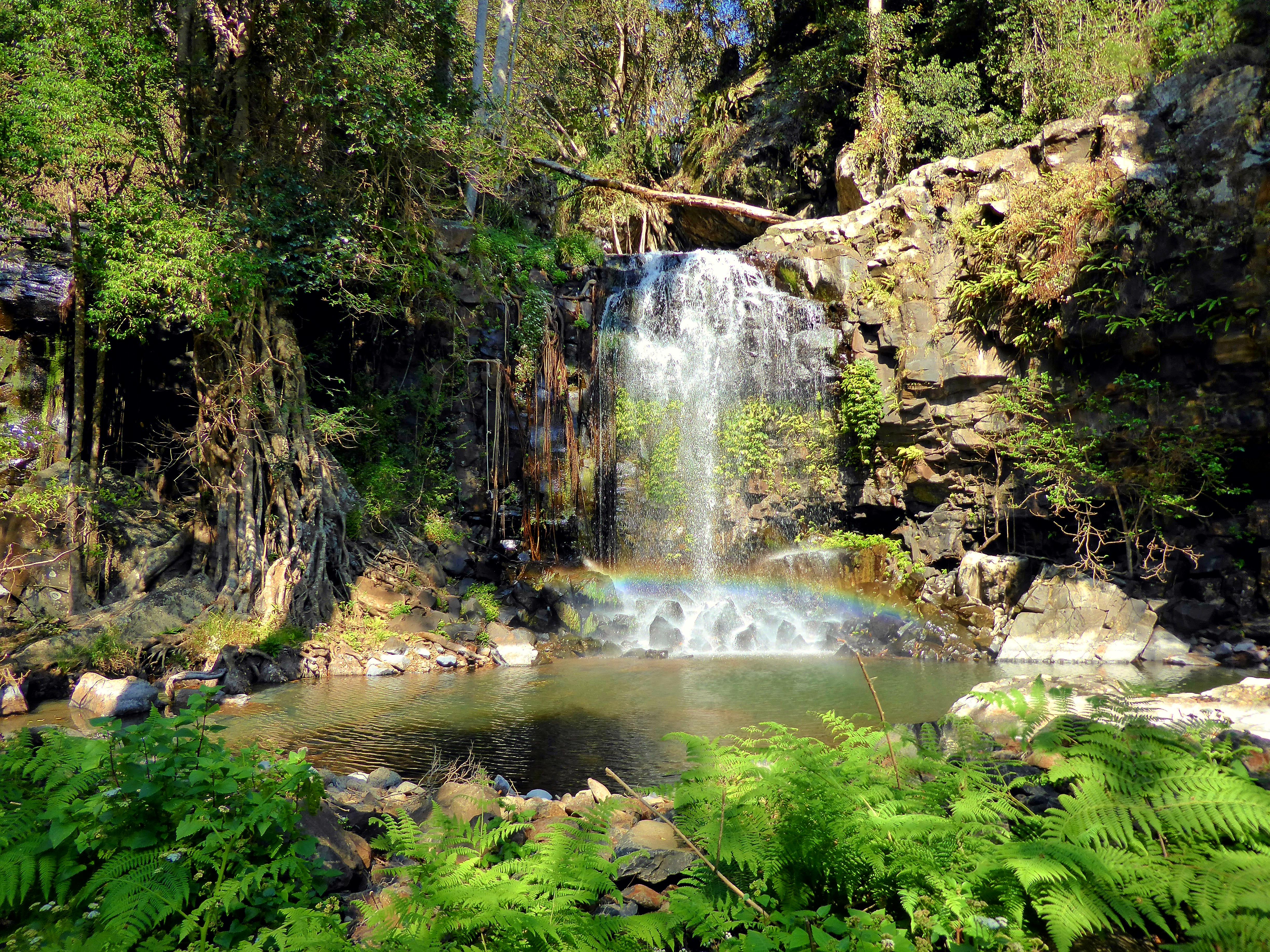 Garden of Earthly Delights Beechmont QLD, Australia [OC][4896x3672