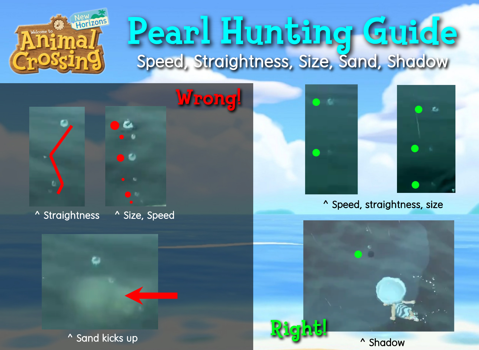 5 S's of Pearl Hunting (Infographic) r/AnimalCrossing