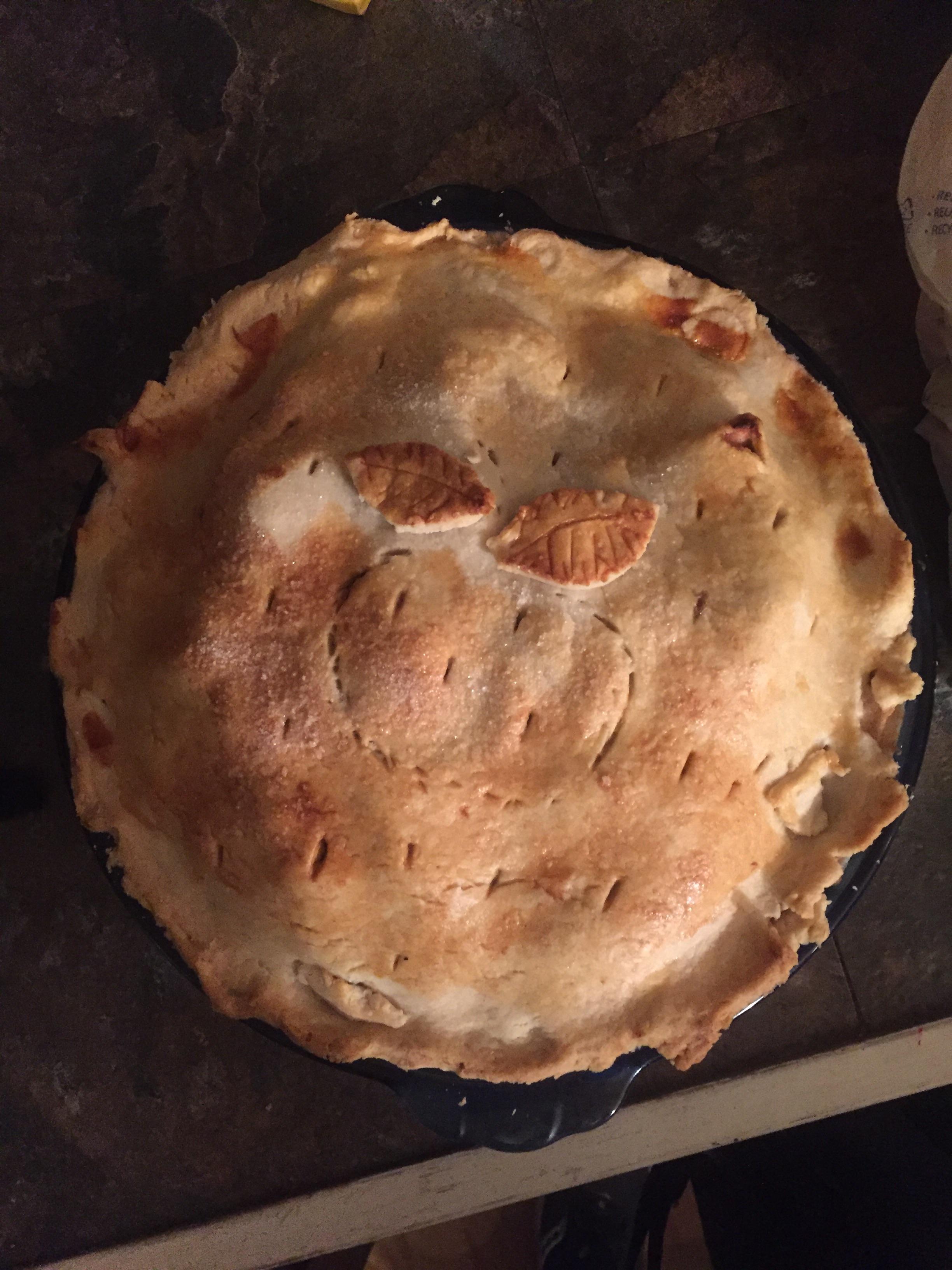 [Homemade] Apple pie for all the neighbors to smell r/food