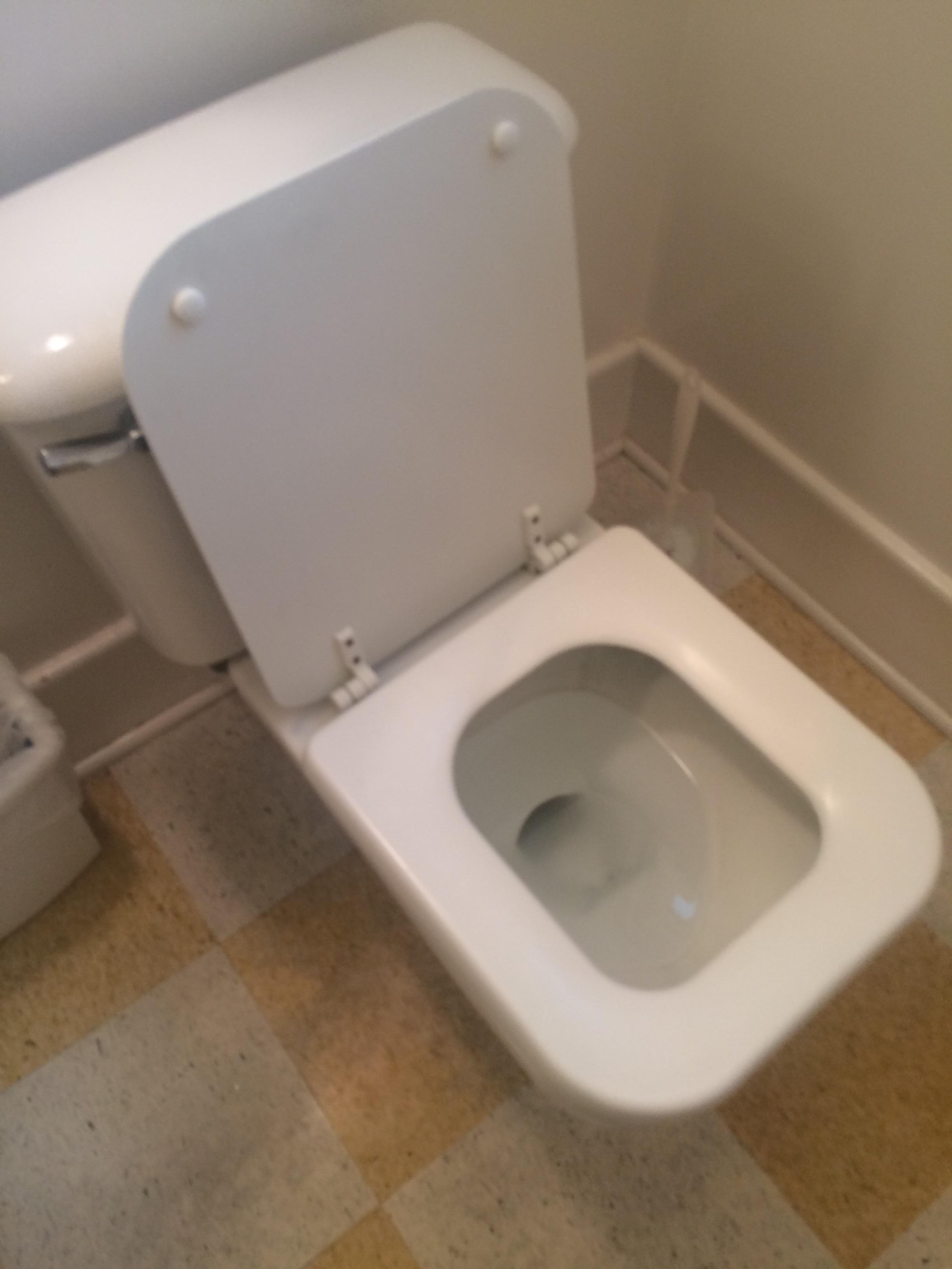 My uncle has a square toilet r/mildlyinteresting