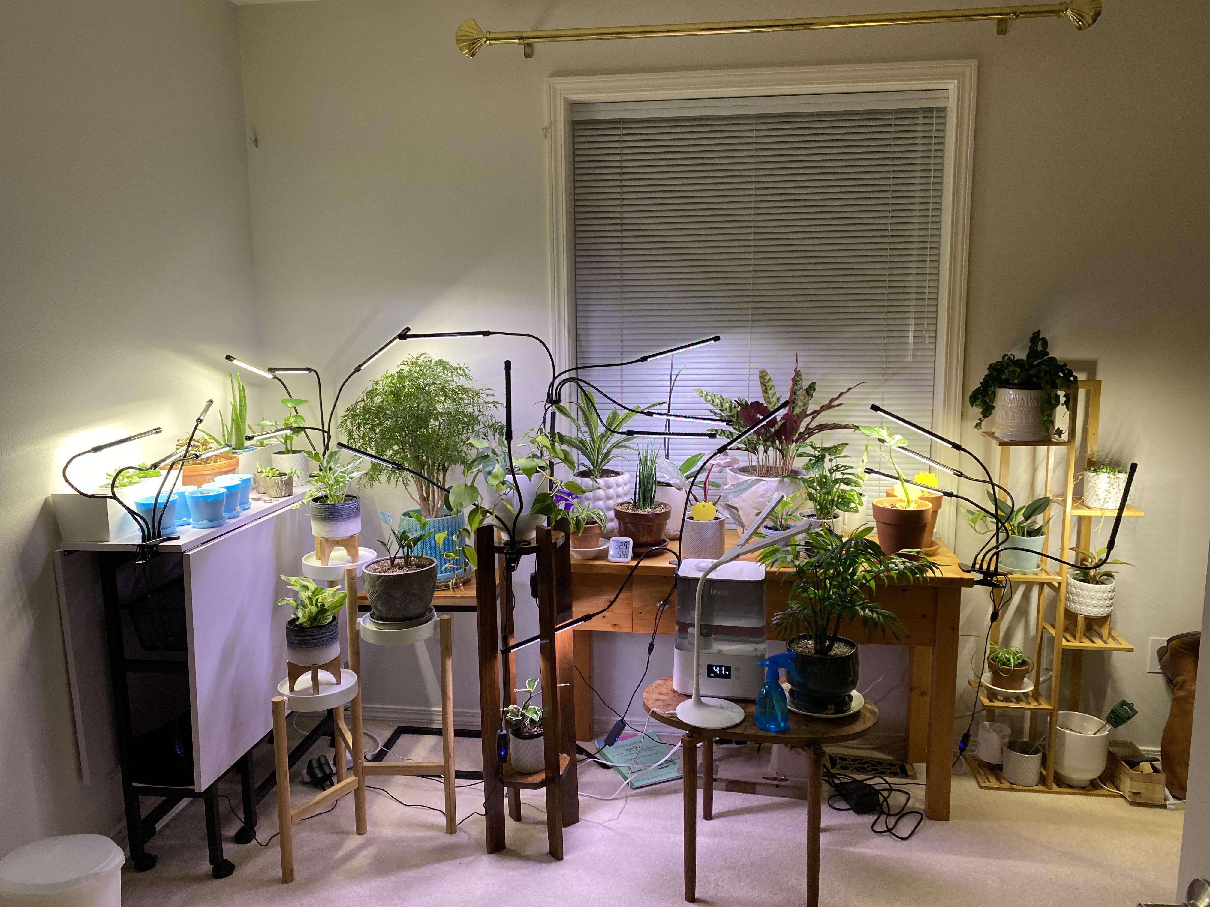 Sansi grow light bulbs for indoor house plants. What wattage? 10, 16