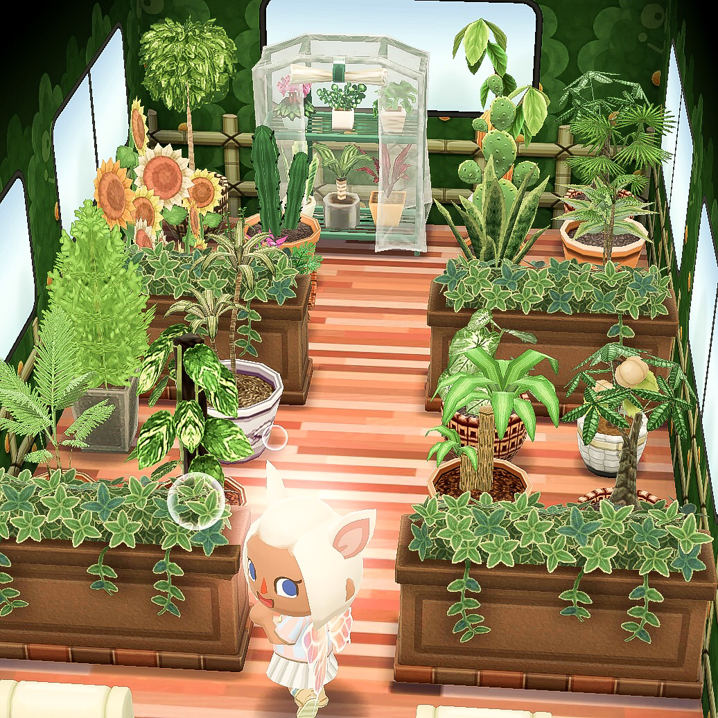 Animal Crossing Pocket Camp Greenhouse Box Animal Crossing Paradise