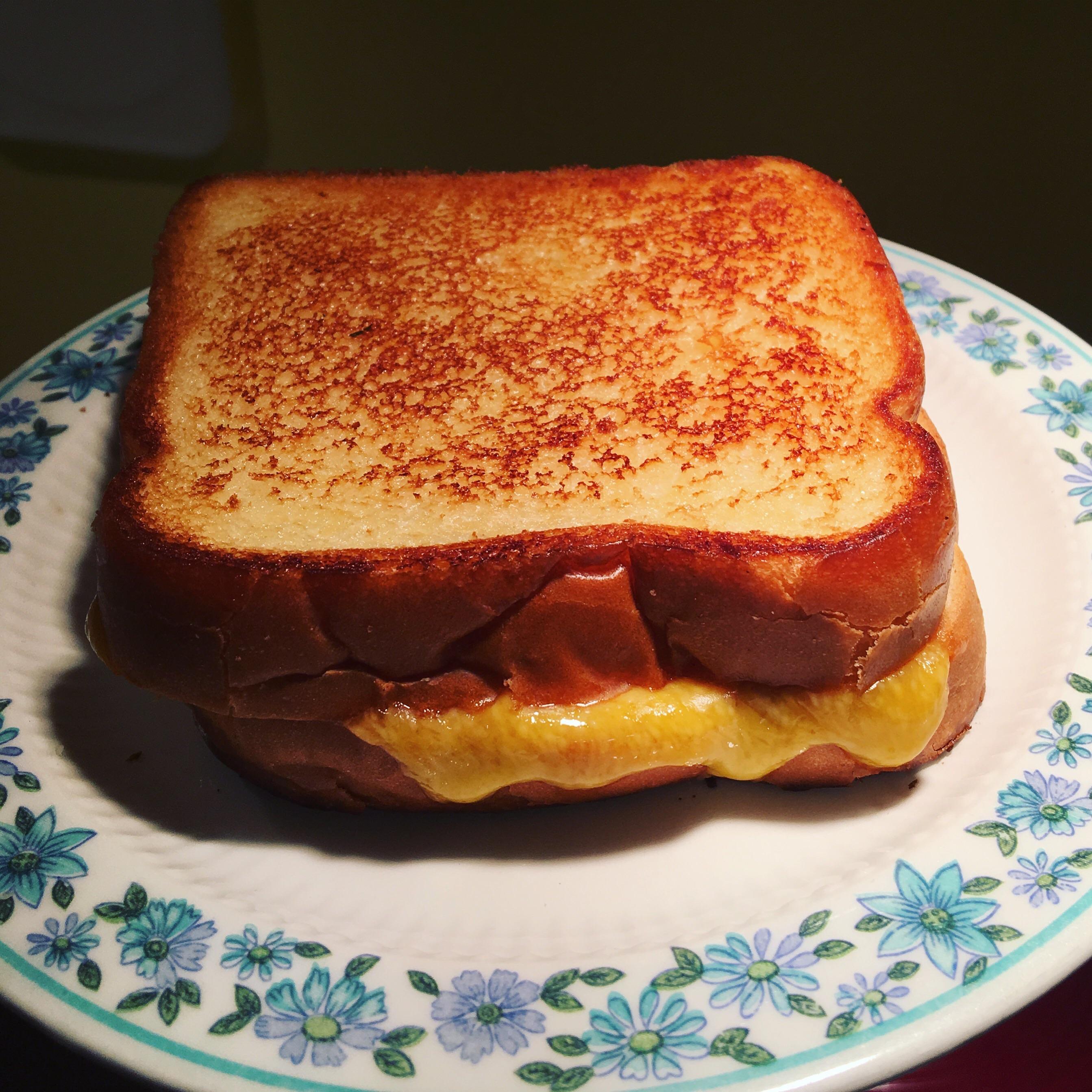 [homemade] Grilled Cheese Sandwich r/food