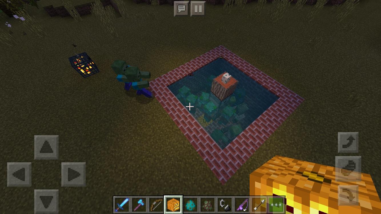 Minecraft Nautilus Shell Omong q