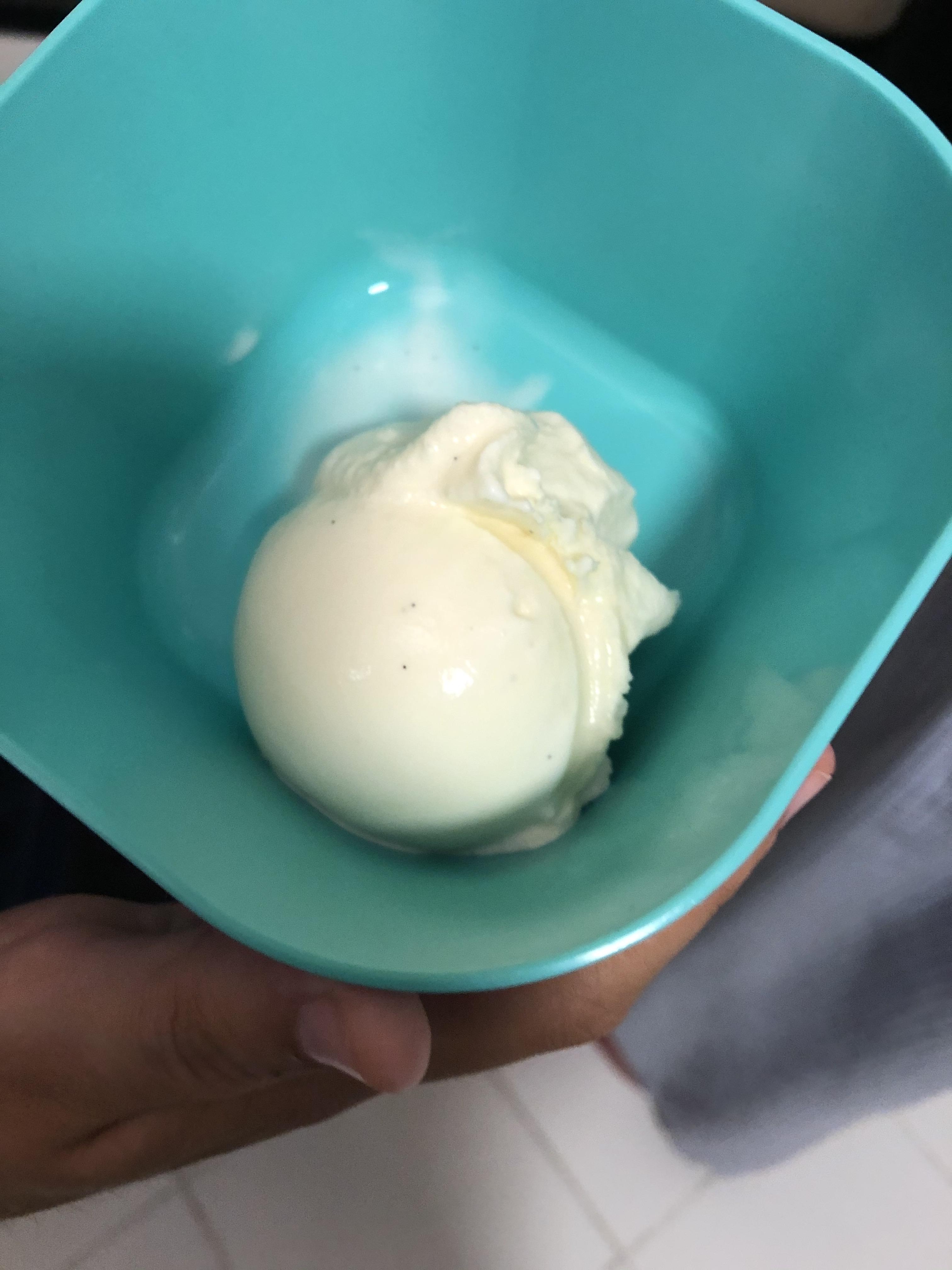 Philly Style Double Vanilla Ice Cream r/seriouseats